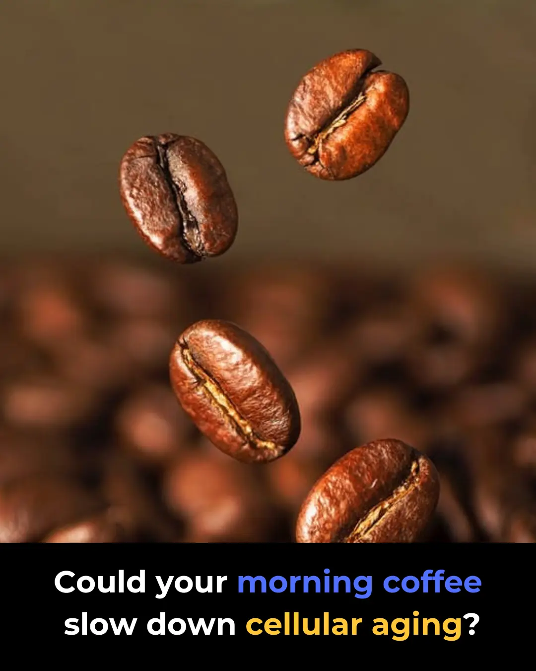 Could Your Morning Coffee Be Slowing Down Cellular Aging?