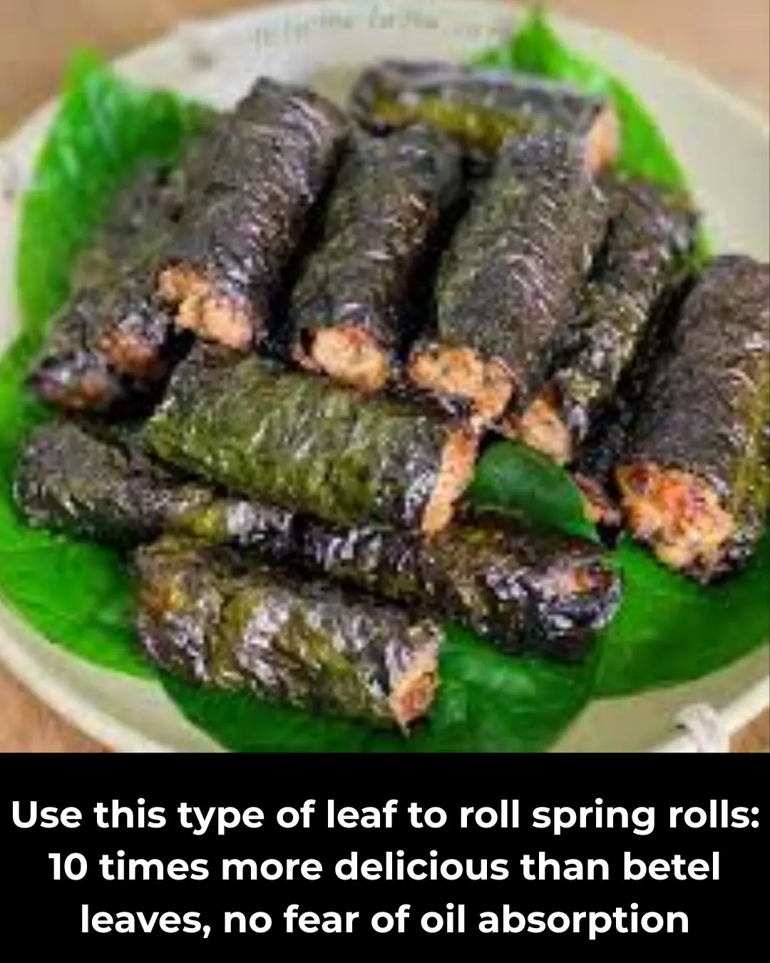 Use this type of leaf to roll spring rolls: 10 times more delicious than betel leaves, no fear of oil absorption
