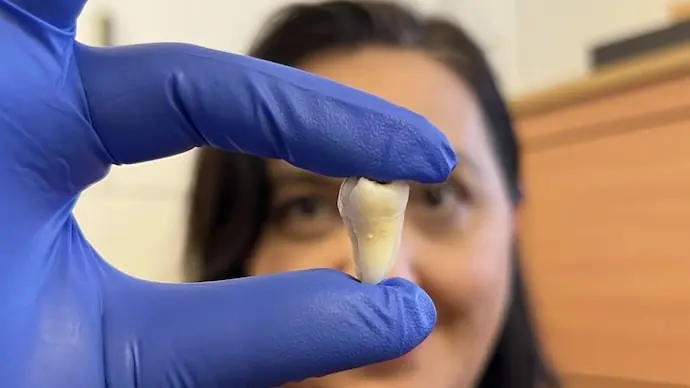 No More Fillings? Scientists Successfully Grow Human Teeth in the Lab