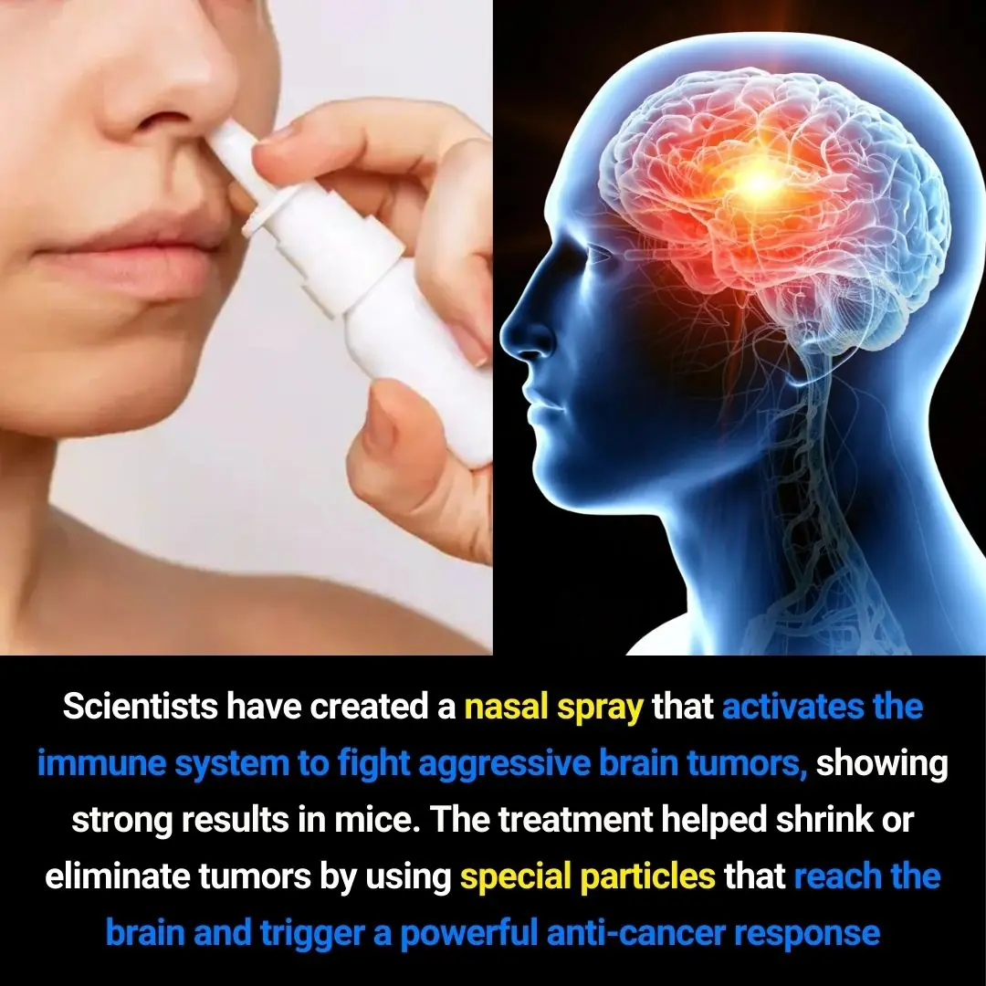 New Nasal Spray Technology Shows Promise in Helping the Immune System Fight Aggressive Brain Tumors