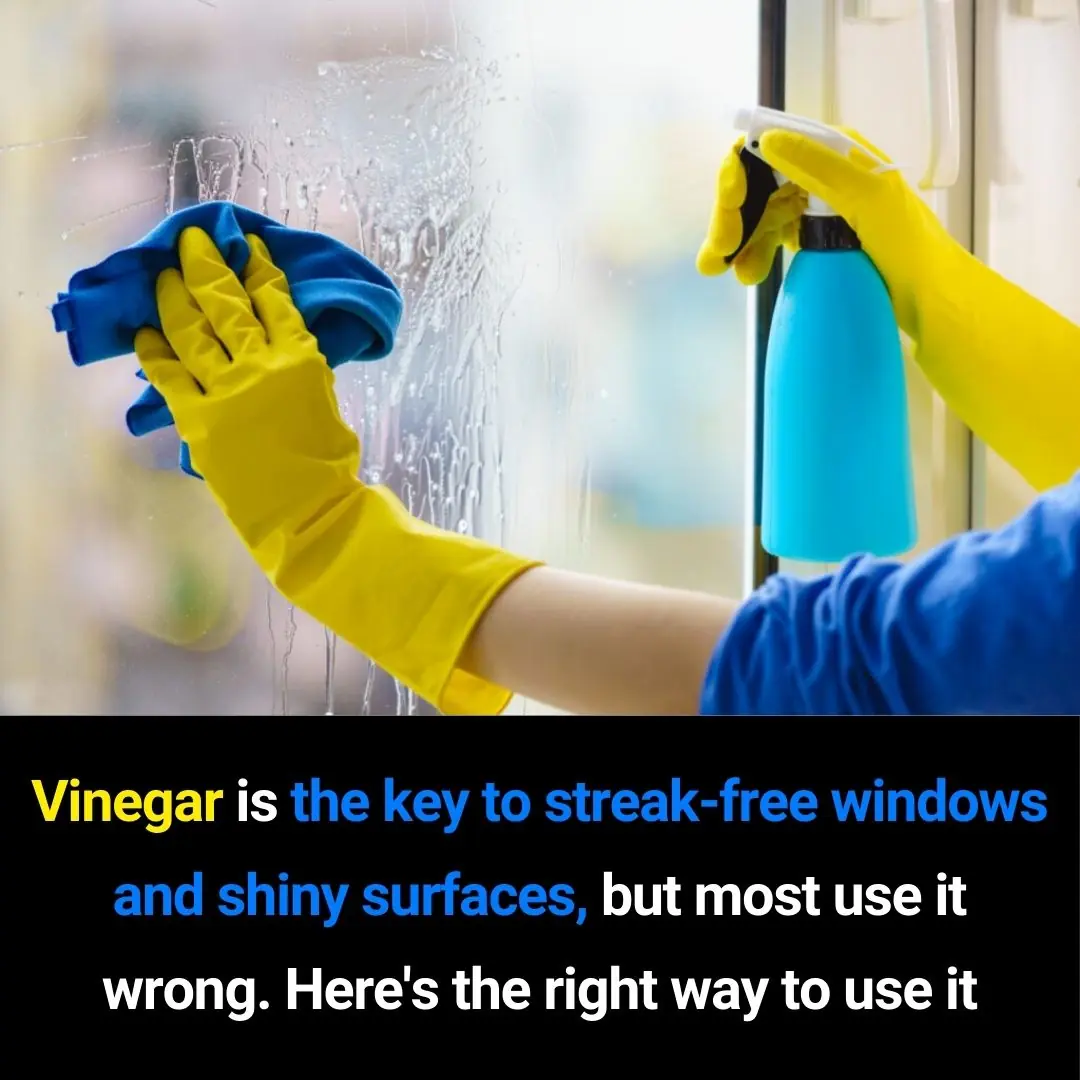 The Right Way to Use Vinegar for Cleaning: How to Get Streak-Free Windows and Shiny Surfaces Every Time