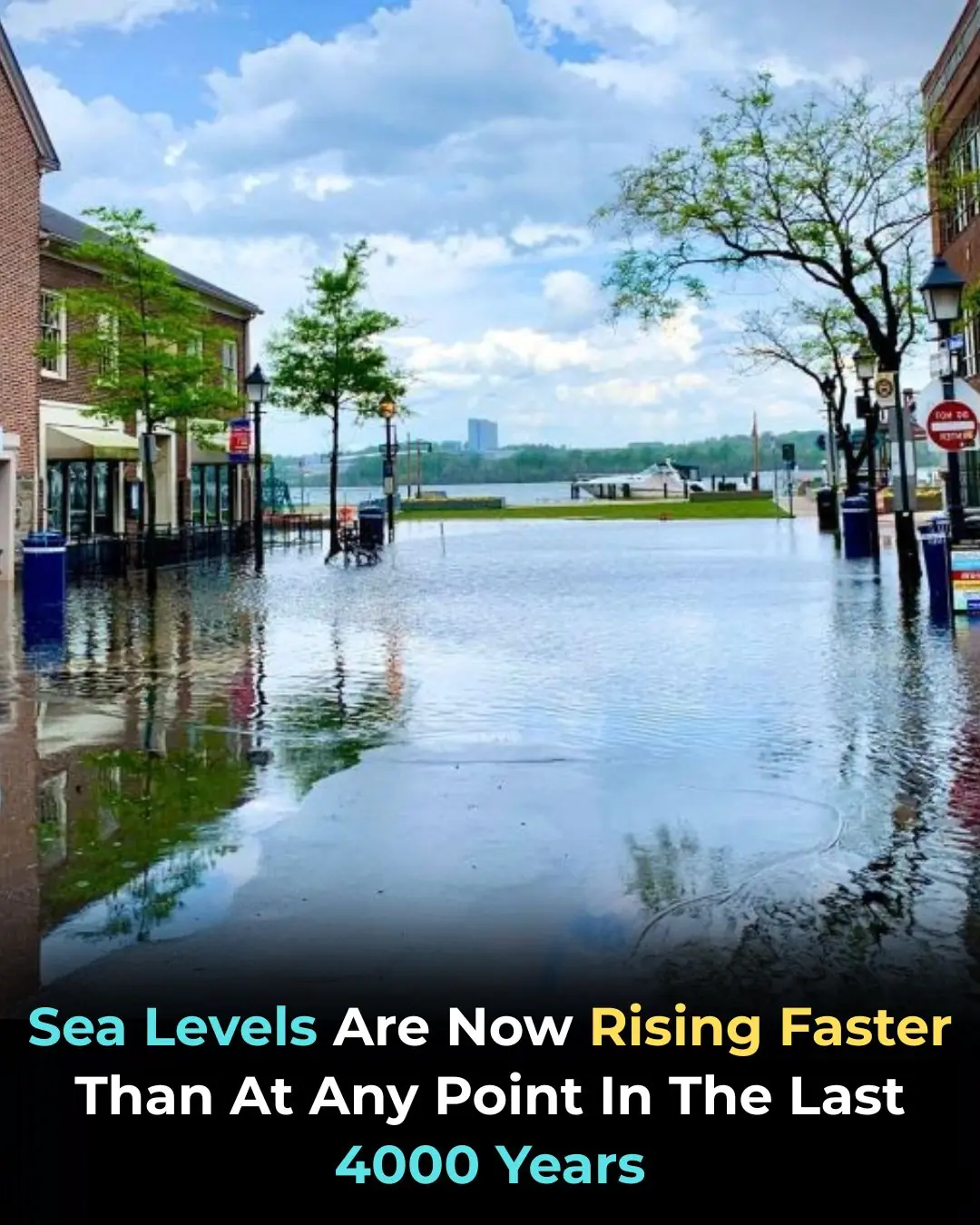 Rising Tide of Change: The World’s Coastlines Are Entering a New Era