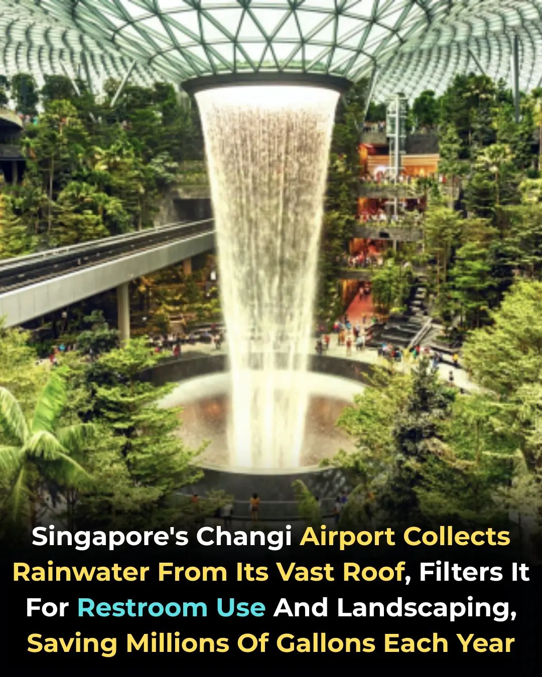 From Rain to Runway: How Singapore’s Changi Airport Saves Over 8 Million Gallons of Water a Year