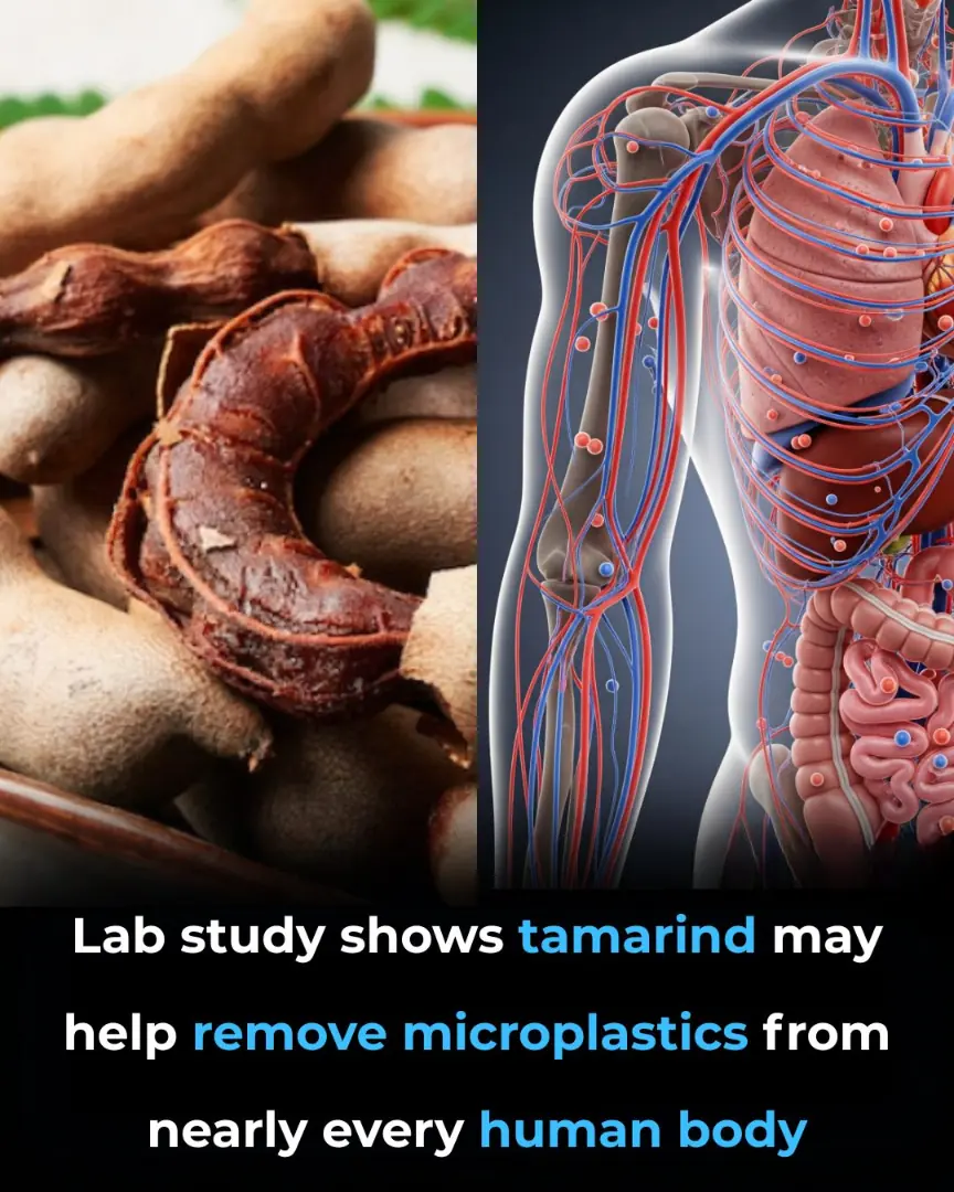 Tamarind: A Promising Natural Solution to Help the Body Clear Microplastics