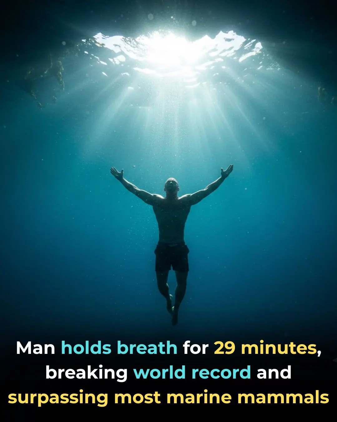 Croatian Freediver Sets New World Record, Outlasting Marine Mammals with Unbelievable Breath-Hold