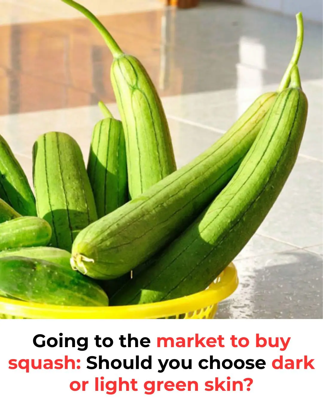 Going to the market to buy squash: Should you choose dark or light green skin?
