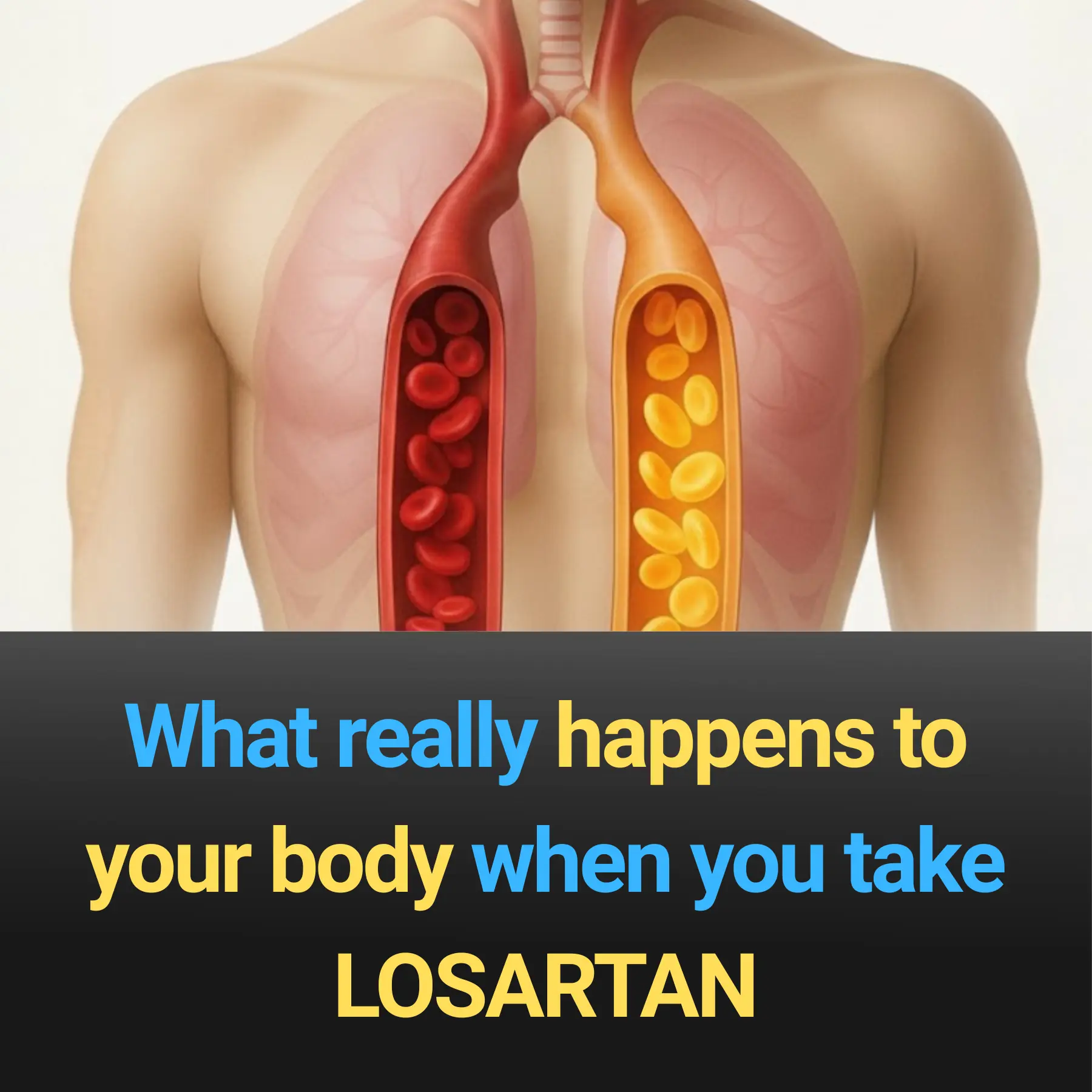 What really happens to your body when you take LOSARTAN