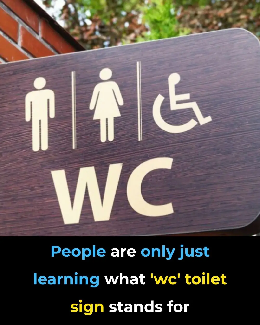 The Meaning Behind the WC Toilet Sign