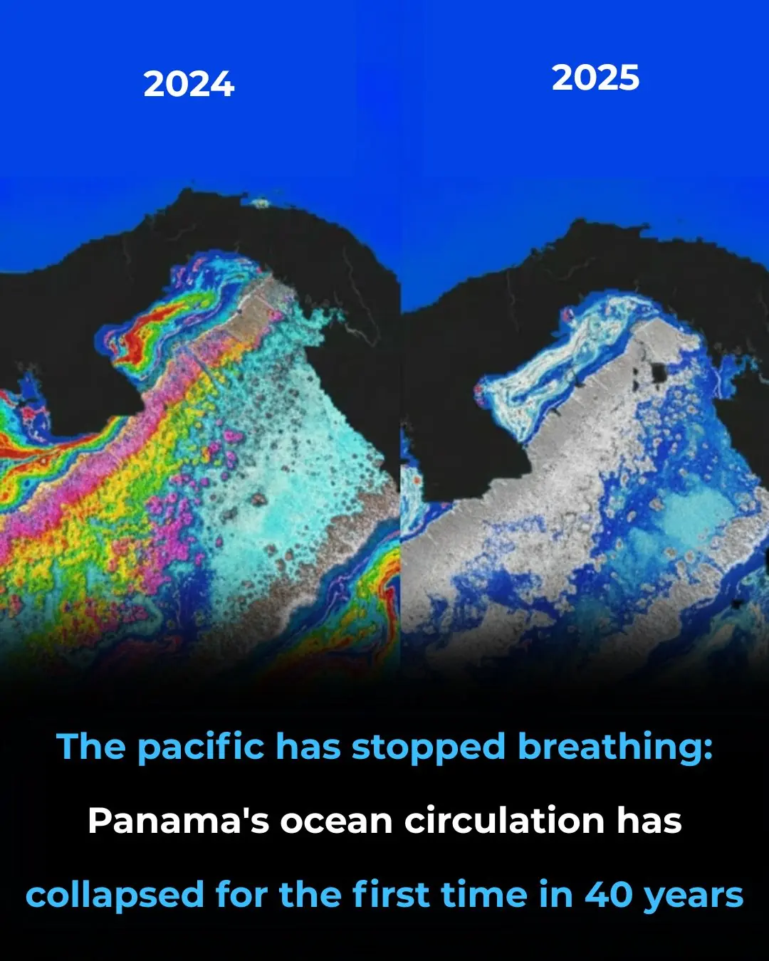 For the first time in 40 years, Panama’s Ocean lifeline has vanished