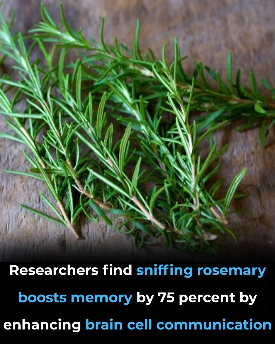 Boost Your Memory Naturally: How Rosemary's Scent Enhances Cognitive Function by 75%
