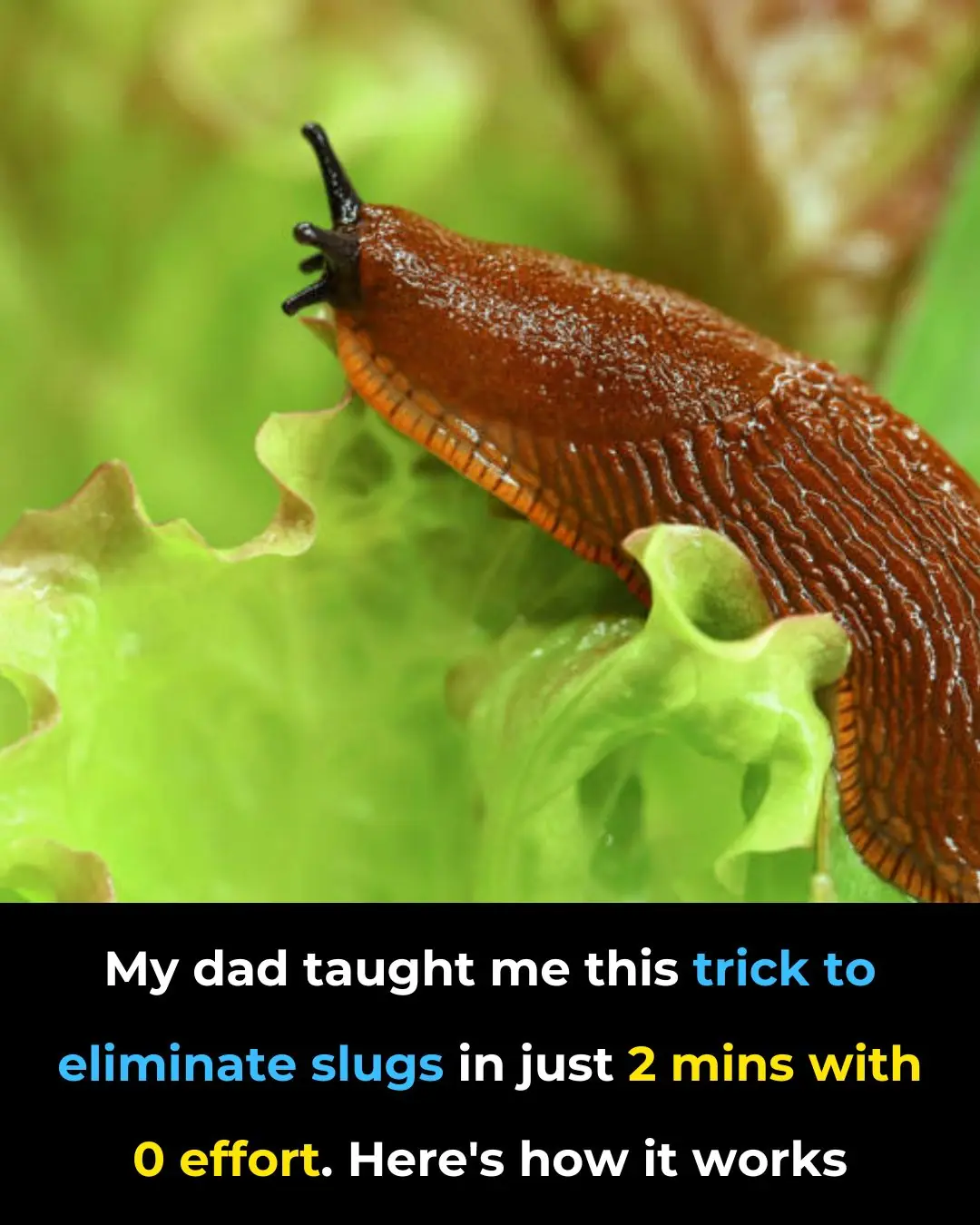 This Method Is So Brilliant — I Wish I’d Thought of It Sooner!