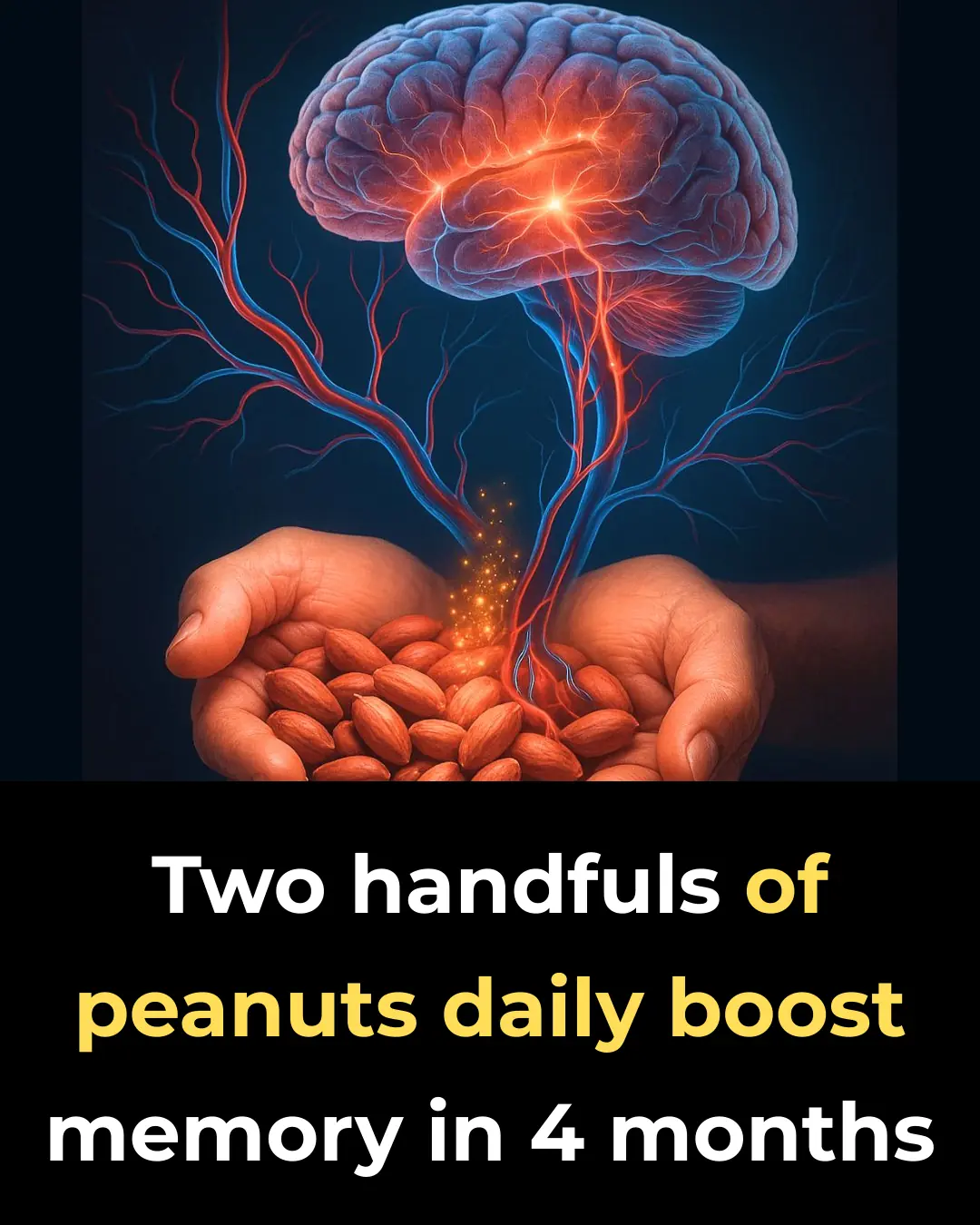 Two handfuls of peanuts daily boost memory in 4 months