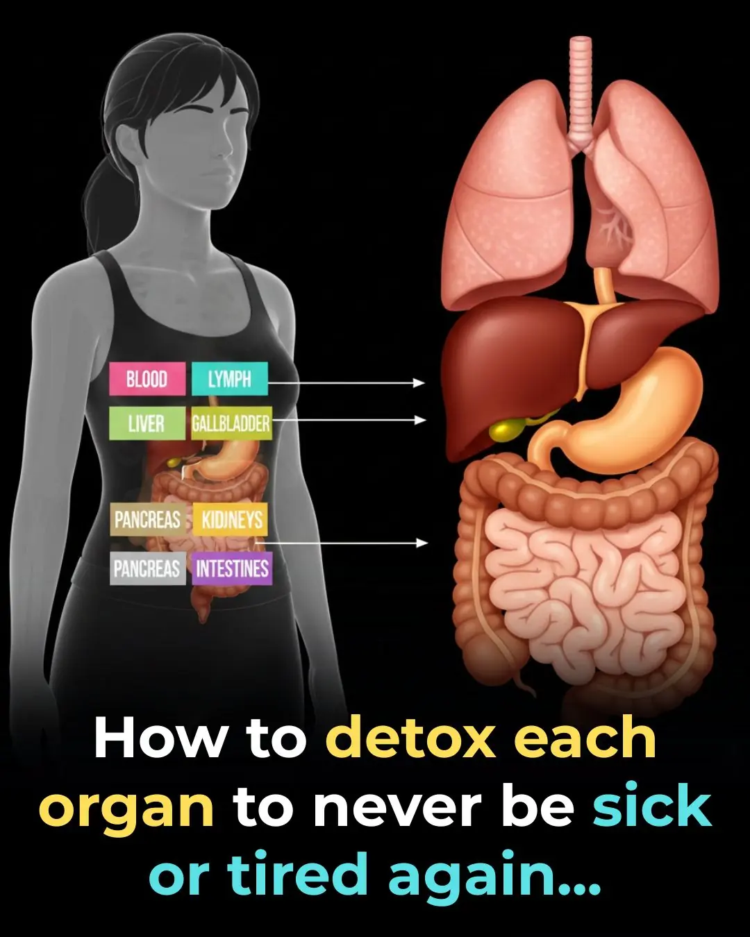 How To Detox Each Organ To Reset Your System