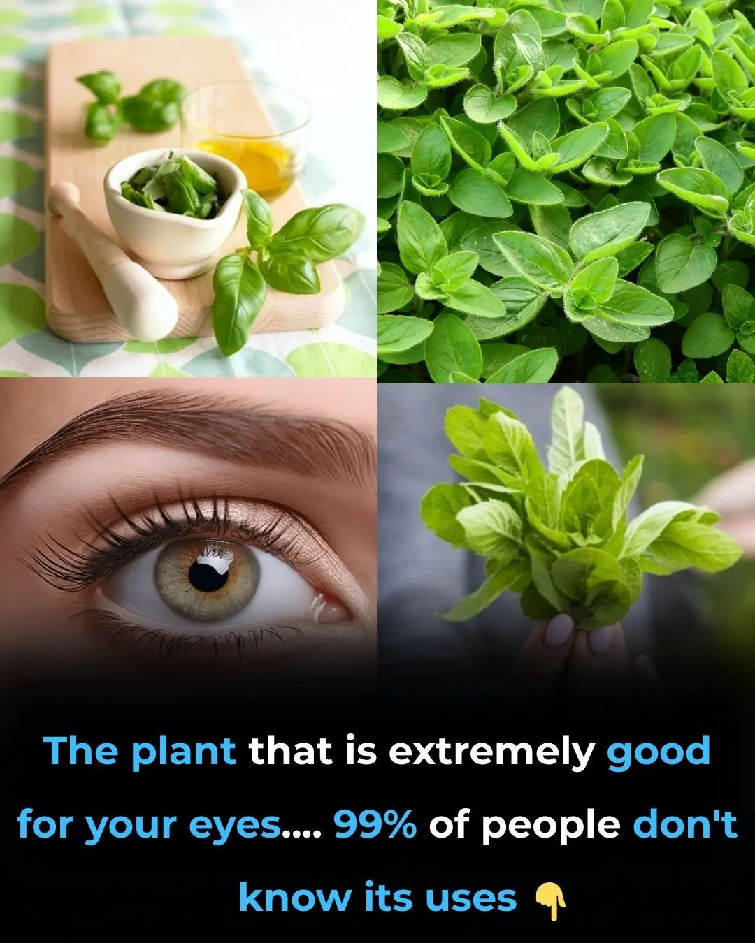 This Common Kitchen Herb Could Transform Your Eye Health