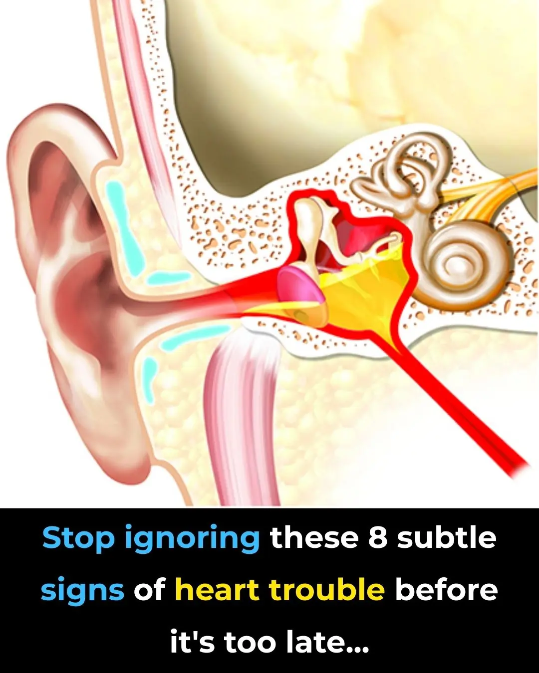 Stop Ignoring These 8 Subtle Signs of Heart Trouble Before It’s Too Late
