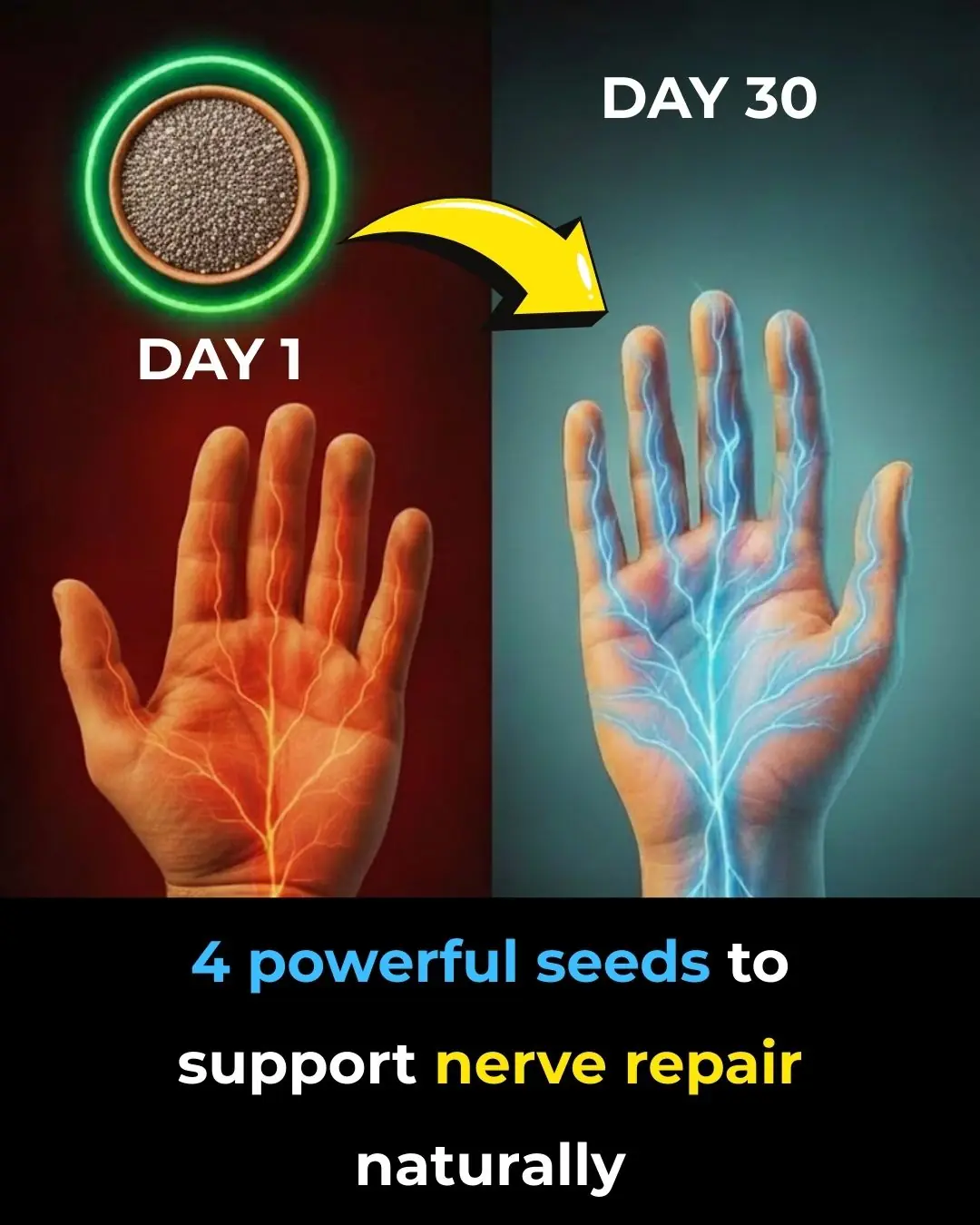 The surprising power of 4 seeds to repair your nerves naturally