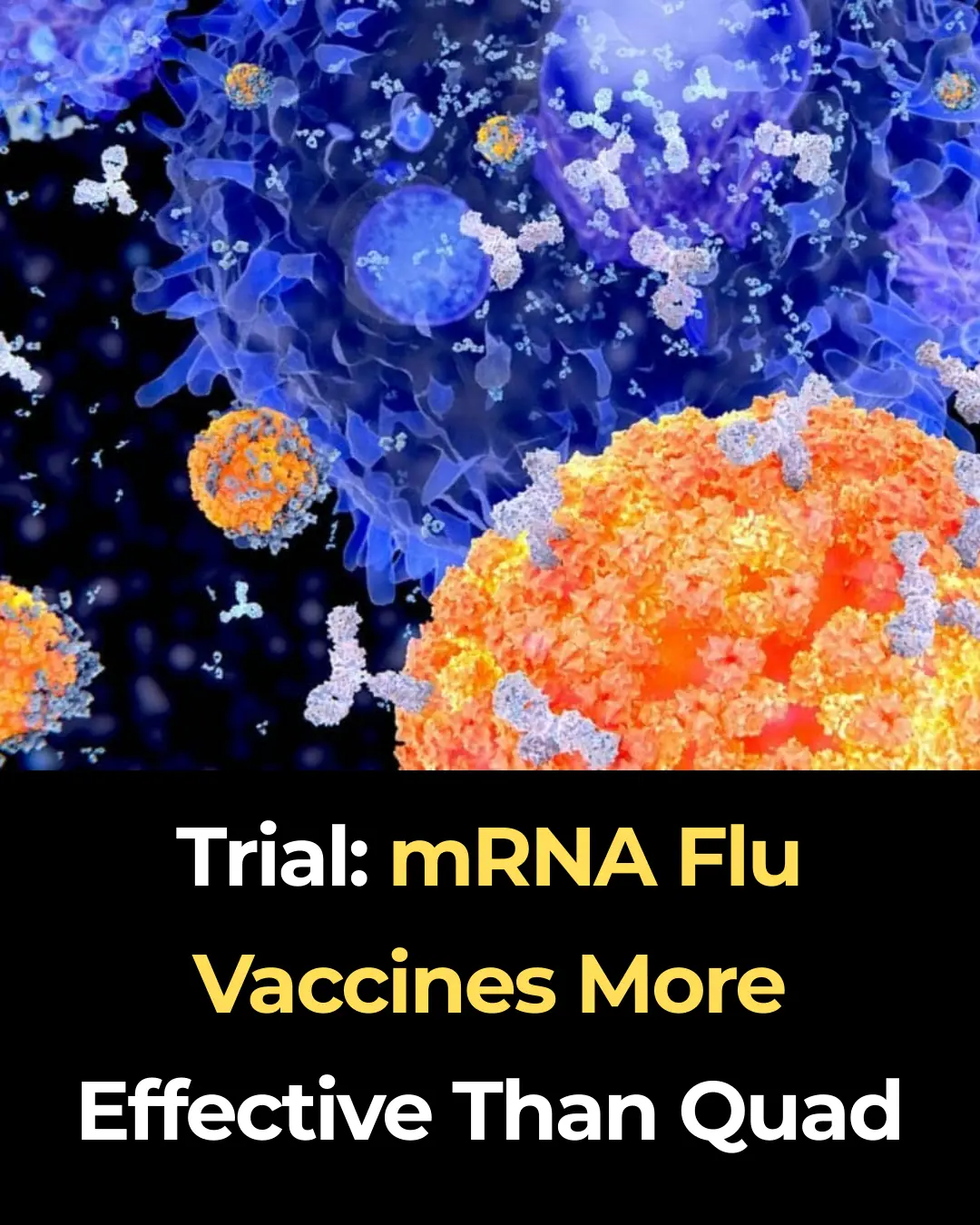 Trial: mRNA Flu Vaccines More Effective Than Quad
