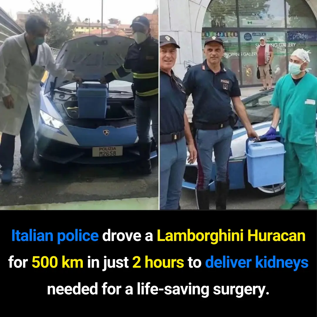 How an Italian Police Lamborghini Huracán Helped Save Lives by Delivering Kidneys Across Italy