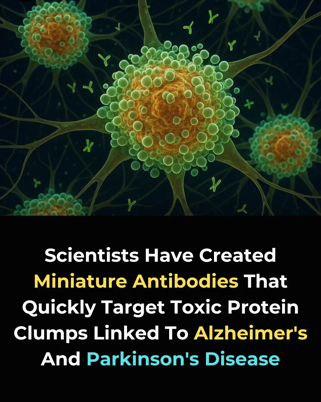 Revolutionary Nanobodies Offer New Hope for Alzheimer’s and Parkinson’s Disease Treatment
