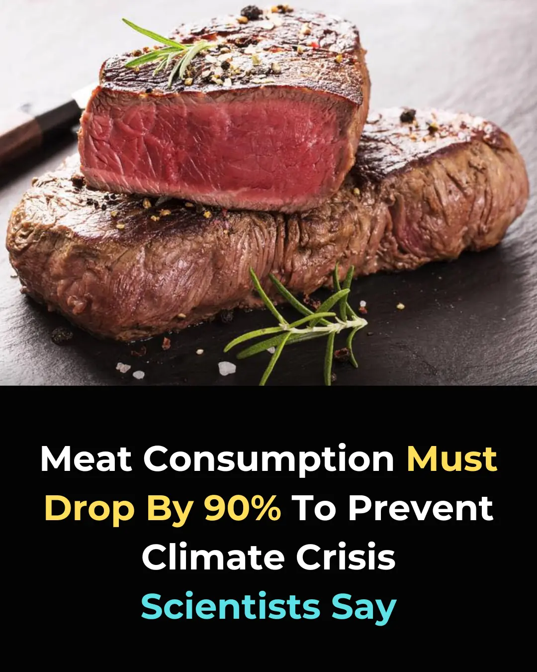 Reducing Meat Consumption by 90%: A Critical Step to Combat Climate Change and Ensure Global Sustainability