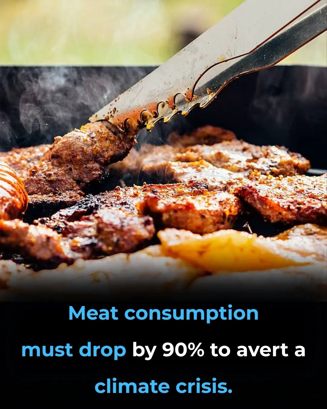 Reducing Meat Consumption: A Key Solution to Combating Climate Change