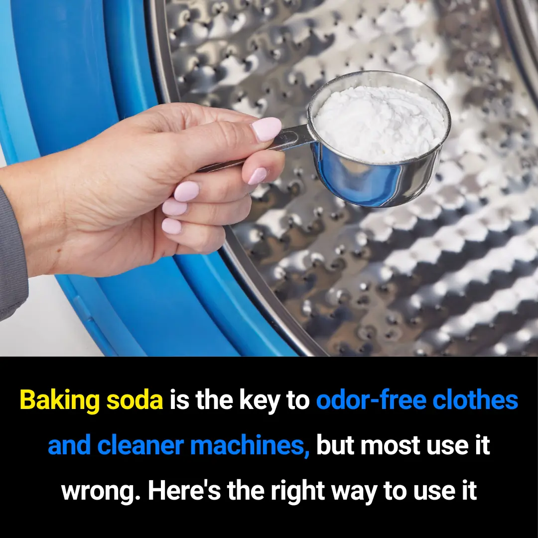 How to Use Baking Soda Correctly in Laundry – Simple Tips for Odor Removal, Cleaning, and Machine Care