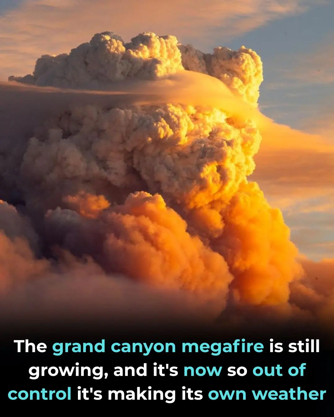Dragon Bravo Fire: Arizona's Megafire Threatens the Grand Canyon and Beyond