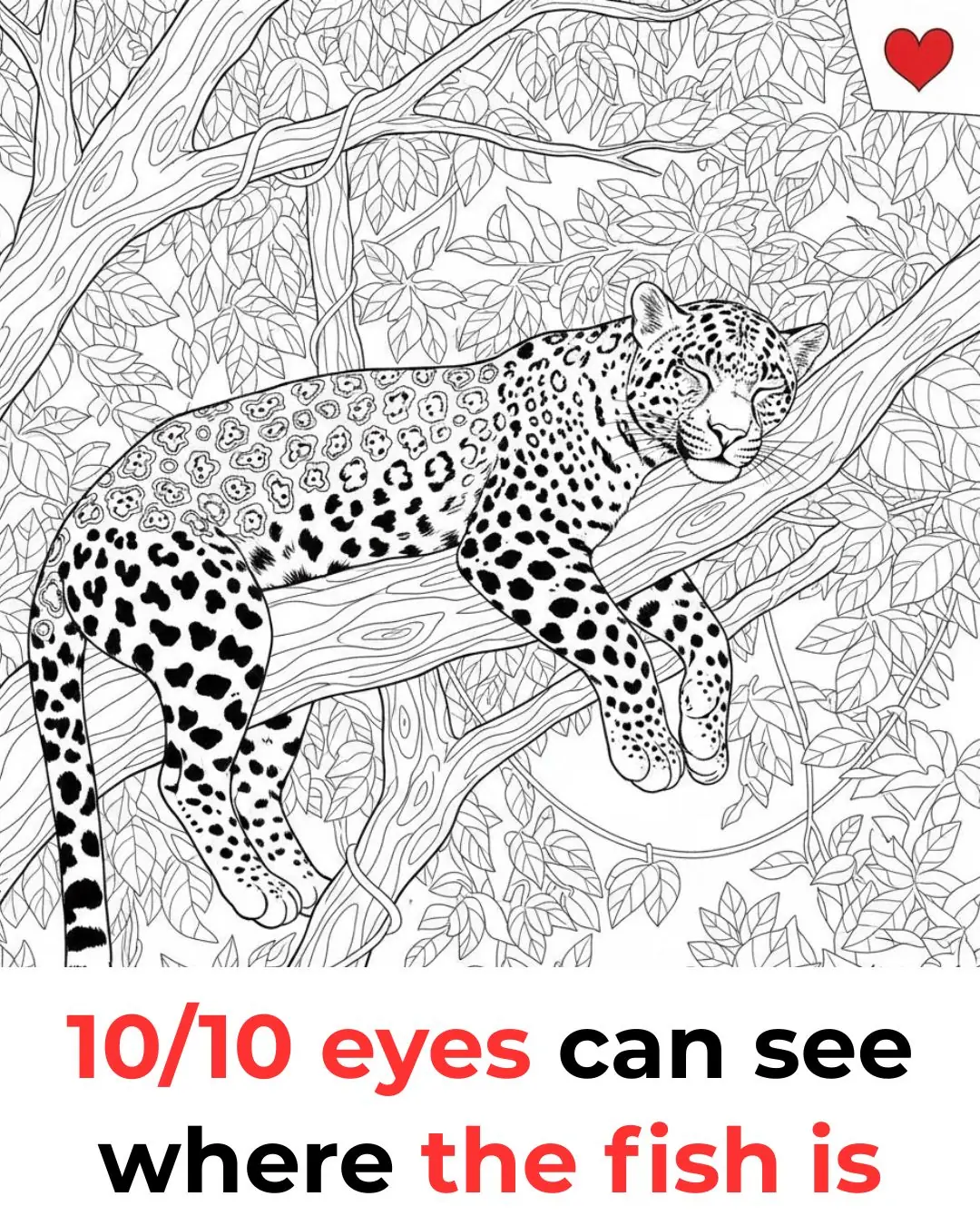 The Hidden Fish Puzzle That’s Stumping the Internet