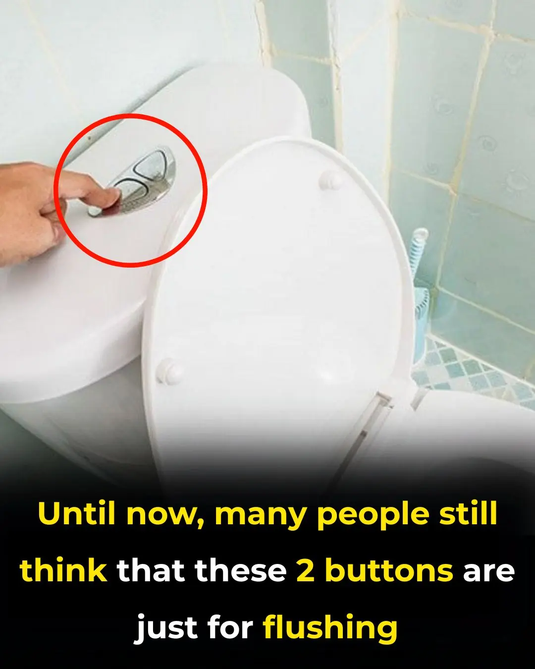 Two Buttons, Big Impact: The Hidden Water-Saving Power of Dual-Flush Toilets