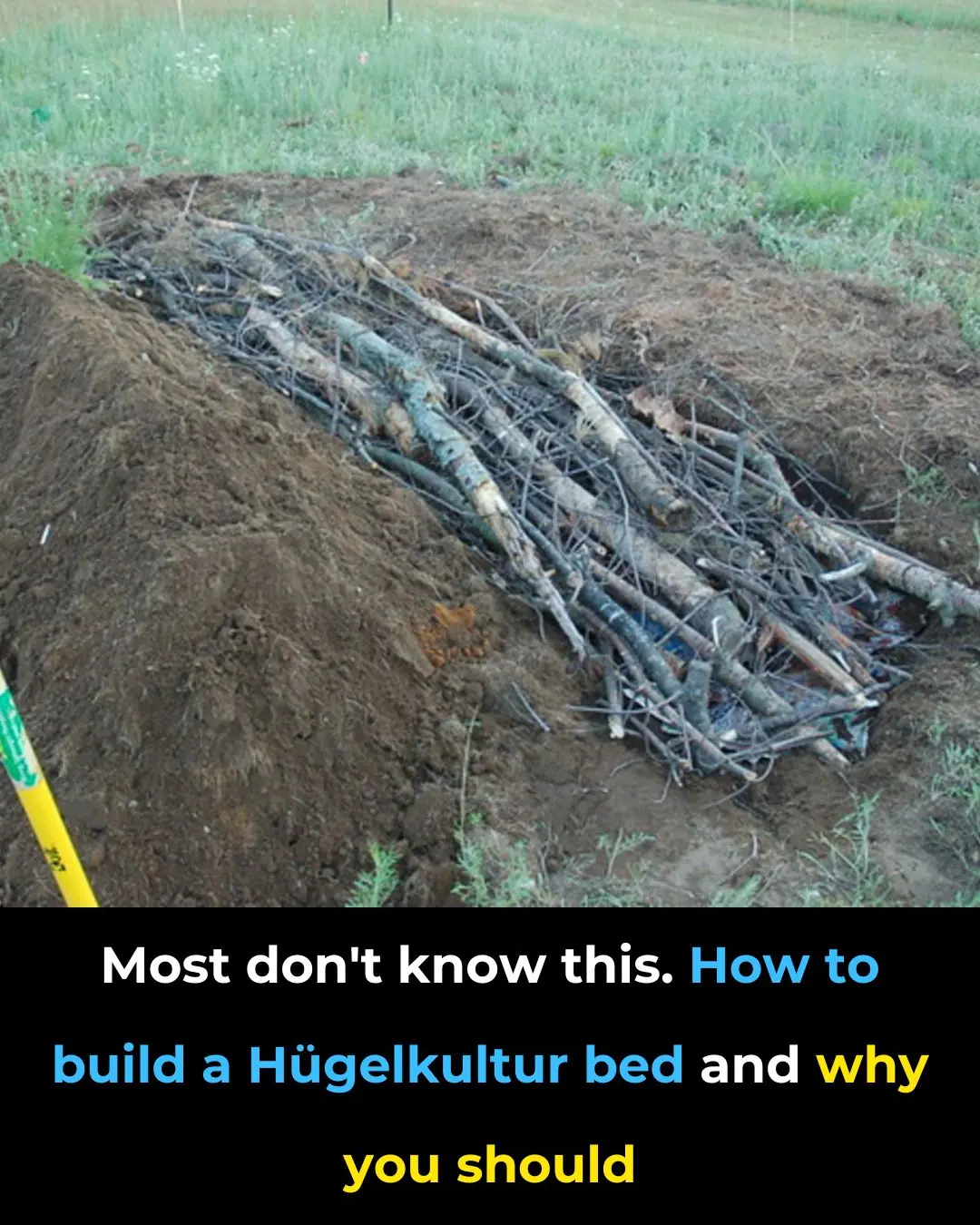 Most don’t know this.