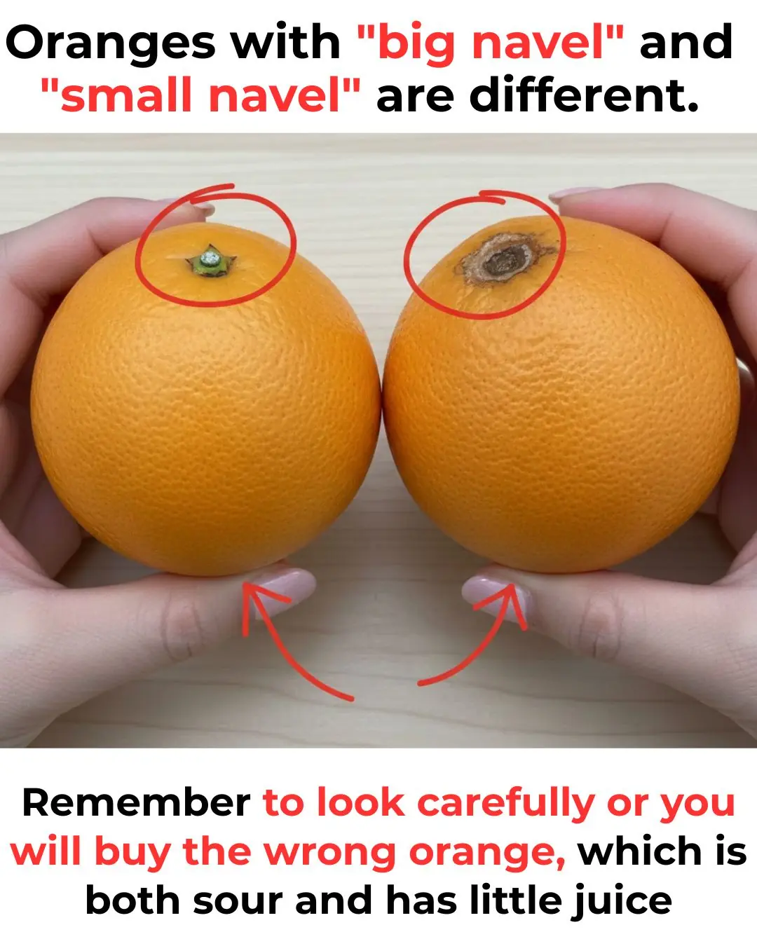 Large Navel Oranges vs Small Navel Oranges