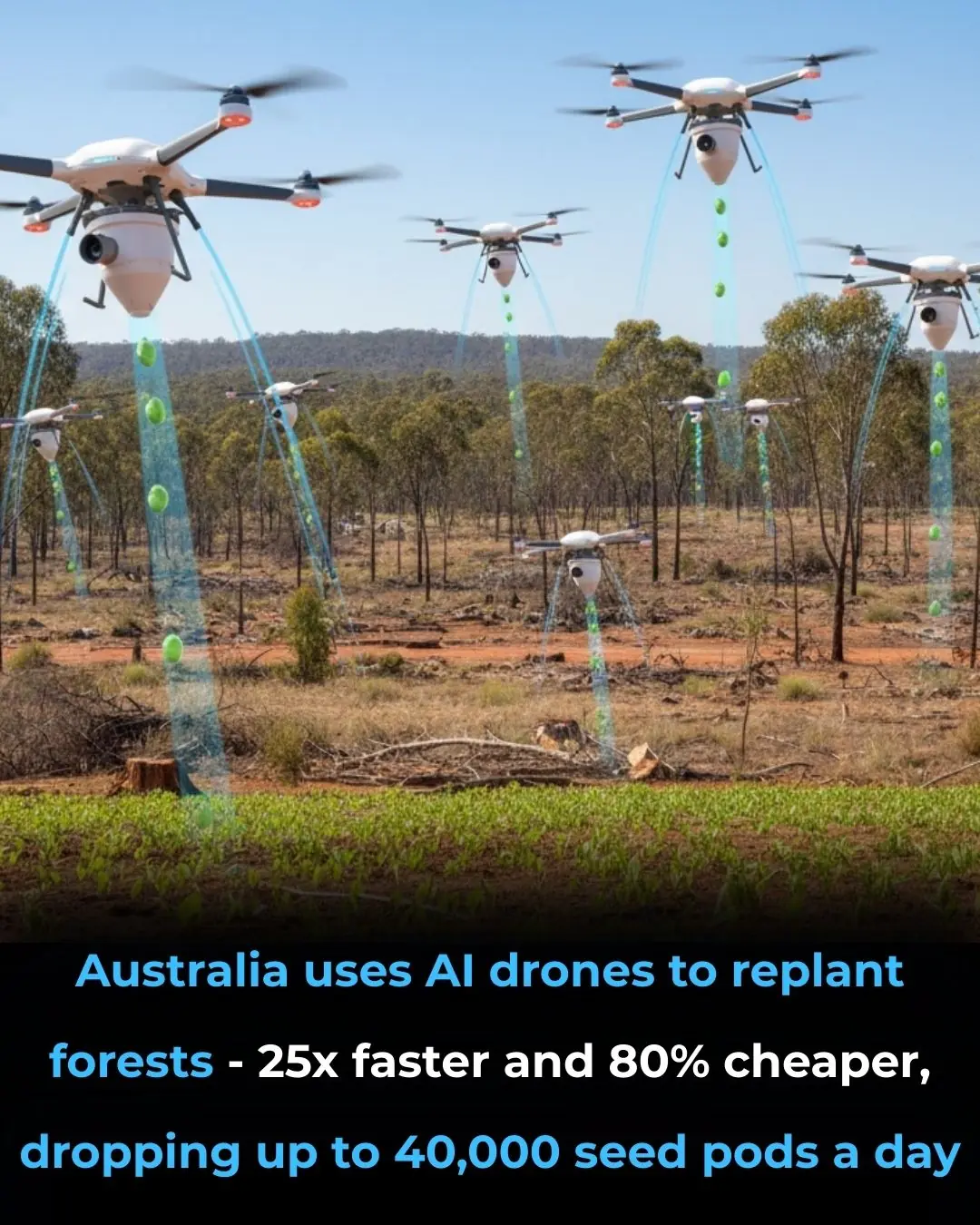 Australia's AI Drones Revolutionize Reforestation Efforts with Seed Pods