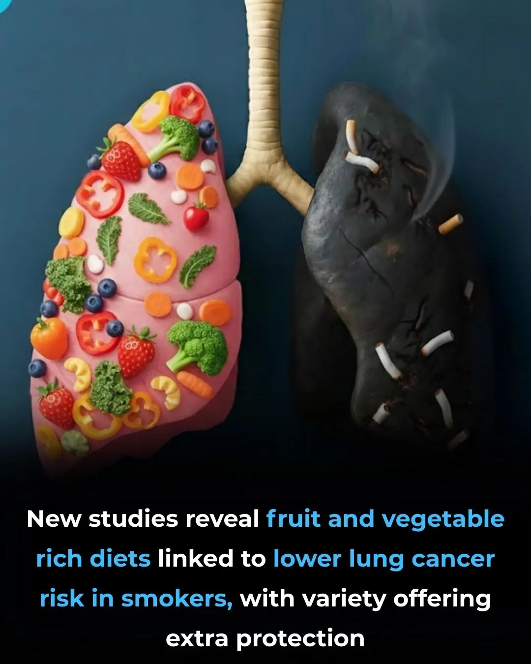 The Role of Diet in Protecting Lung Health and Reducing Cancer Risk for Smokers
