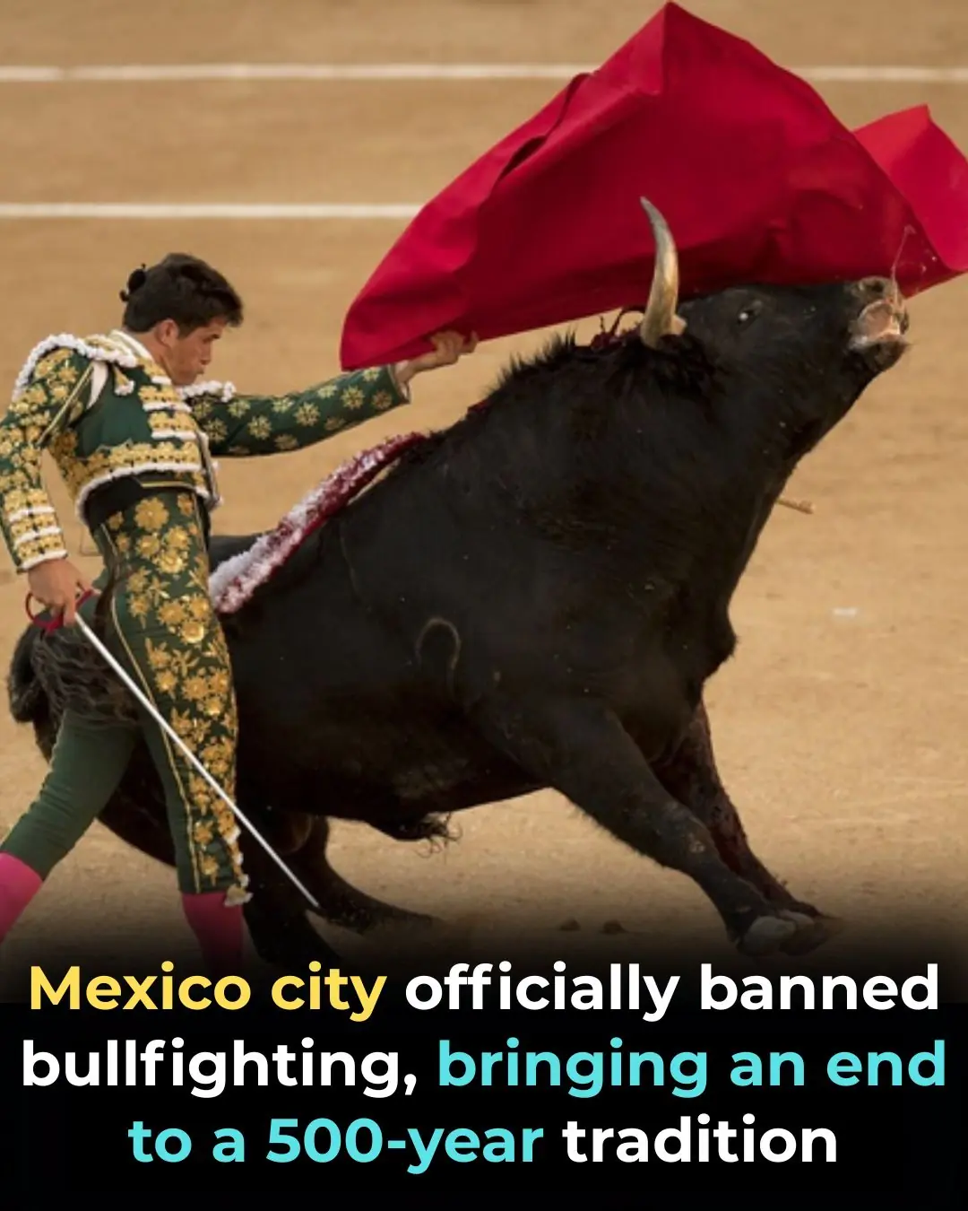 Mexico City’s Sweeping Bullfighting Ban Marks Major Shift in Cultural and Animal-Welfare Policy