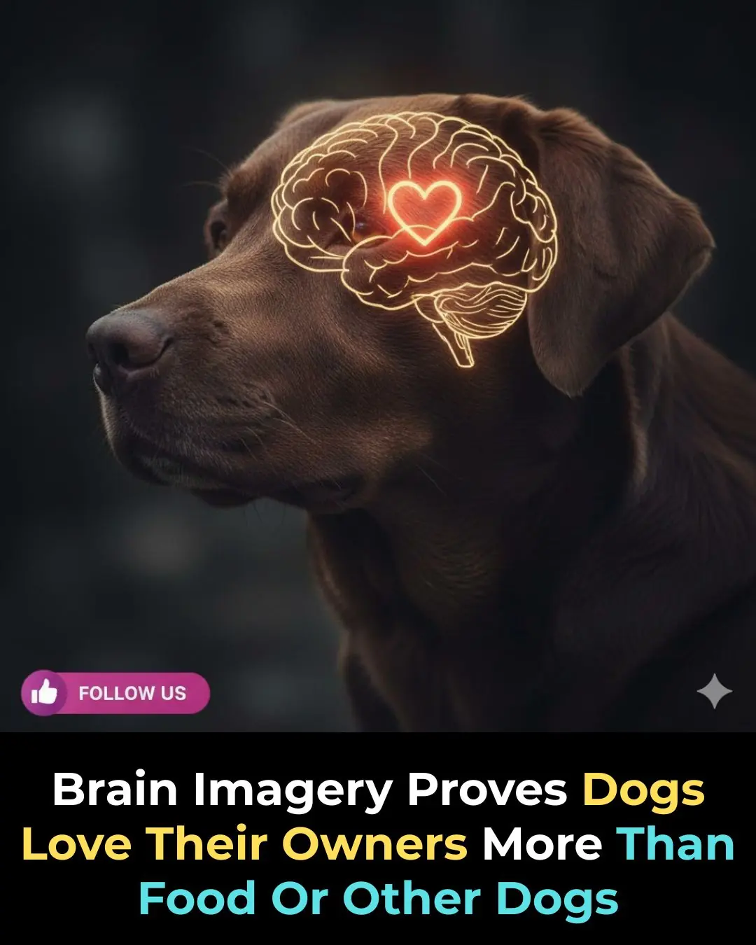 Your Dog Might Actually Love You More Than Food