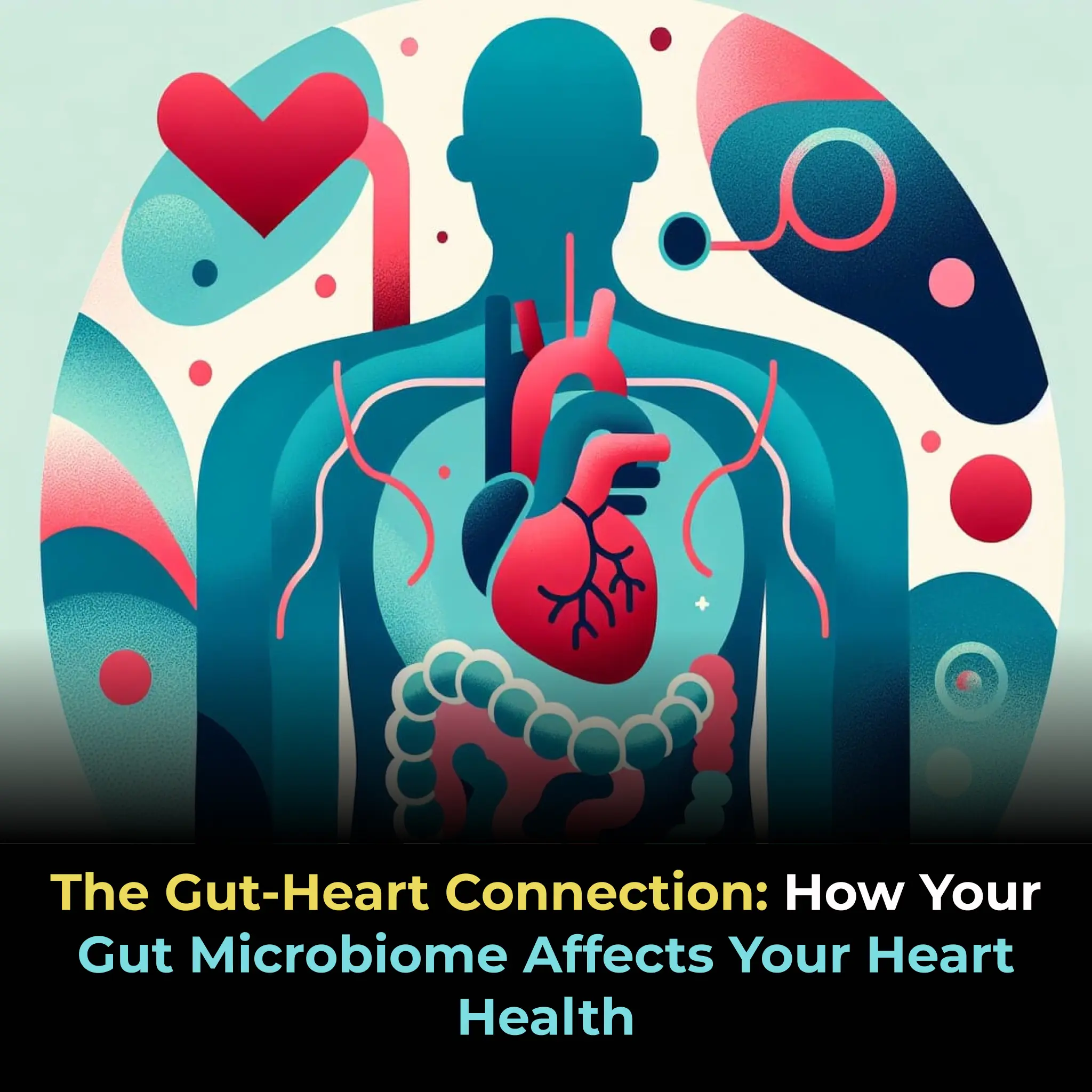 The Gut-Heart Connection: How Your Gut Microbiome Affects Your Heart Health