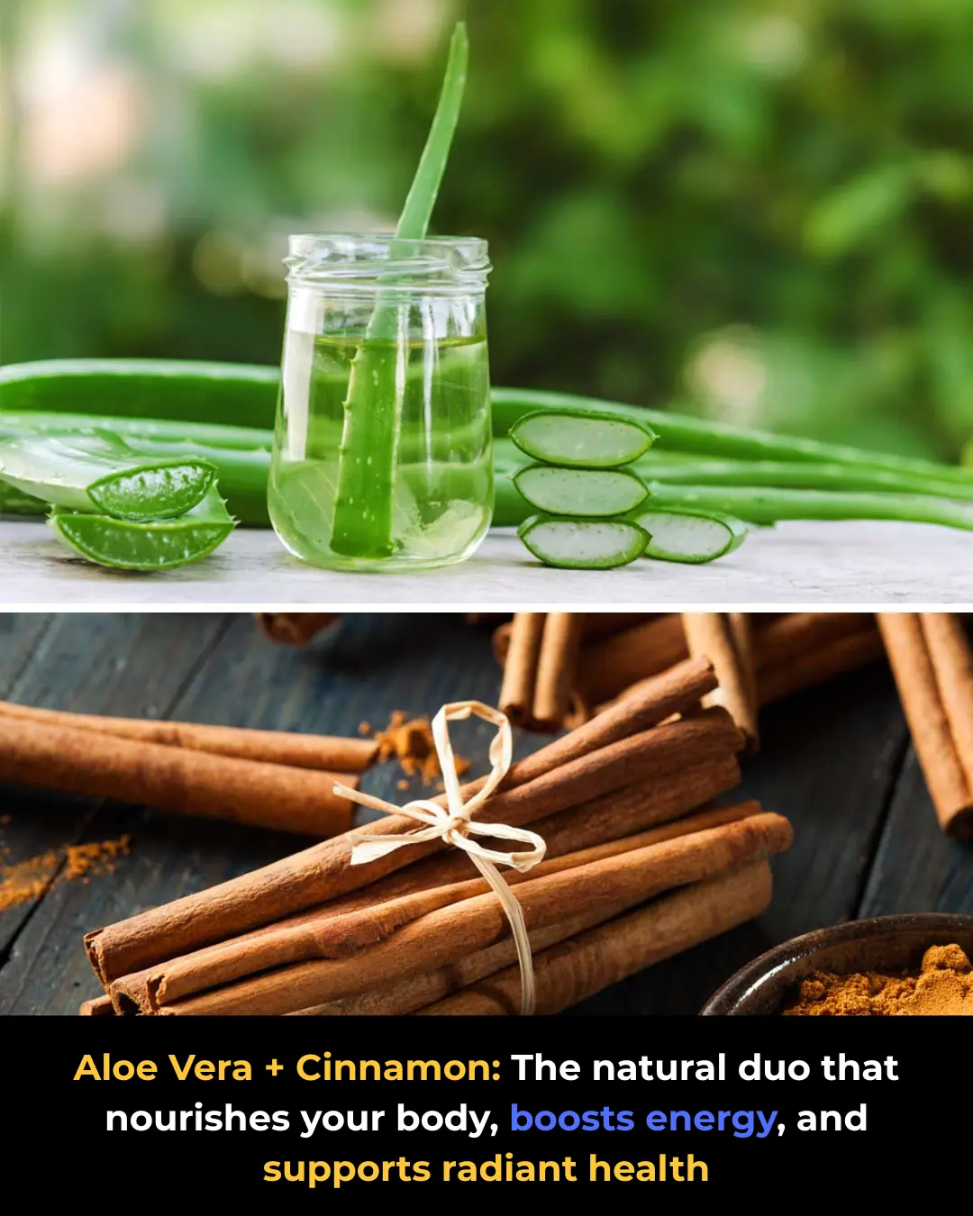 Aloe Vera & Cinnamon: The Traditional Duo That Naturally Supports Your Health, Vitality, and Vision