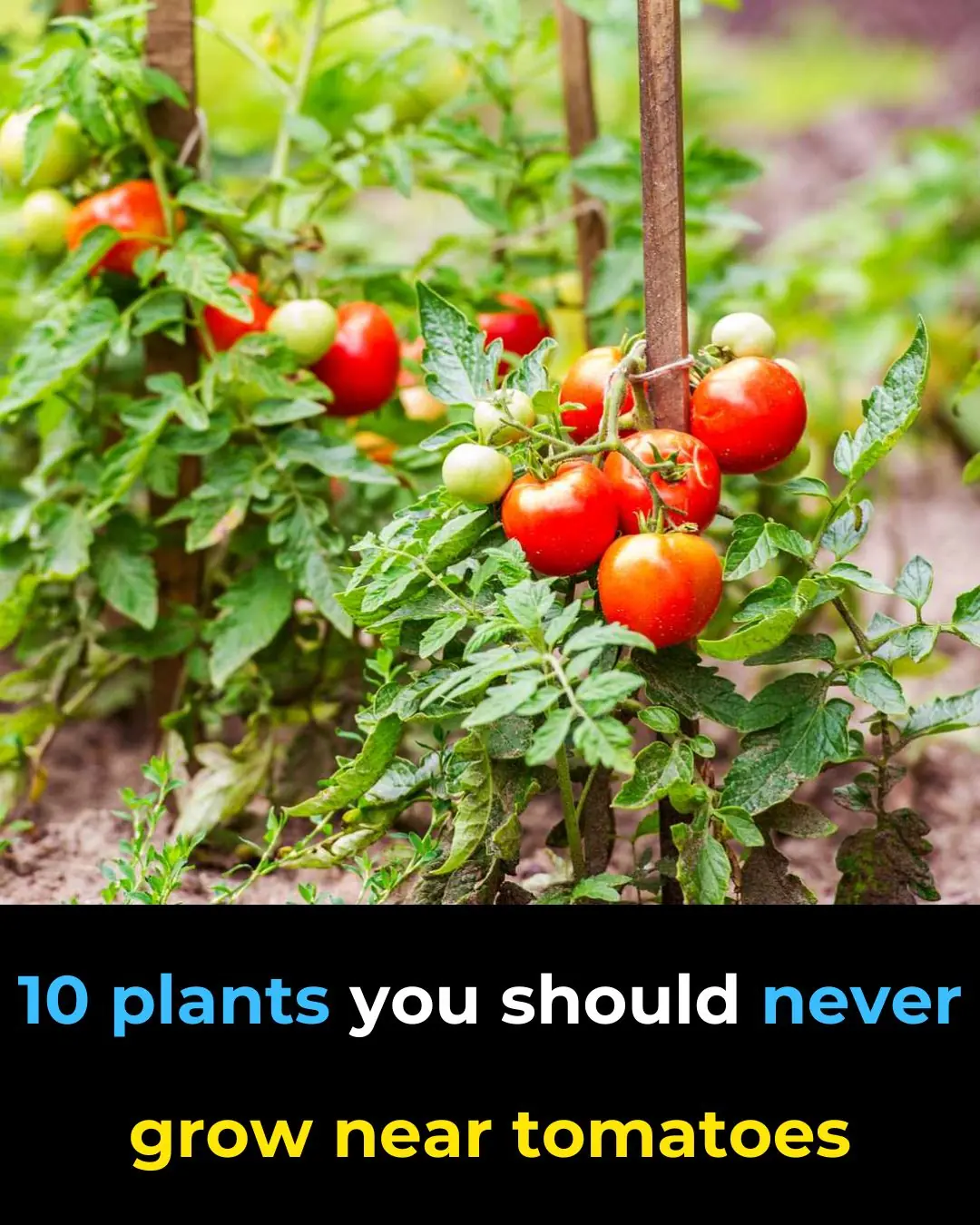 I had no clue about this