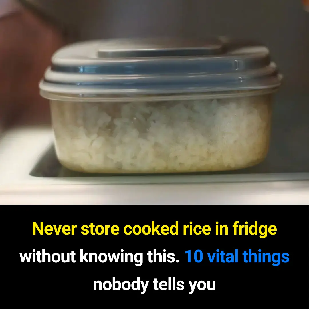 11 Essential Facts About Safely Storing Cooked Rice You Shouldn’t Ignore