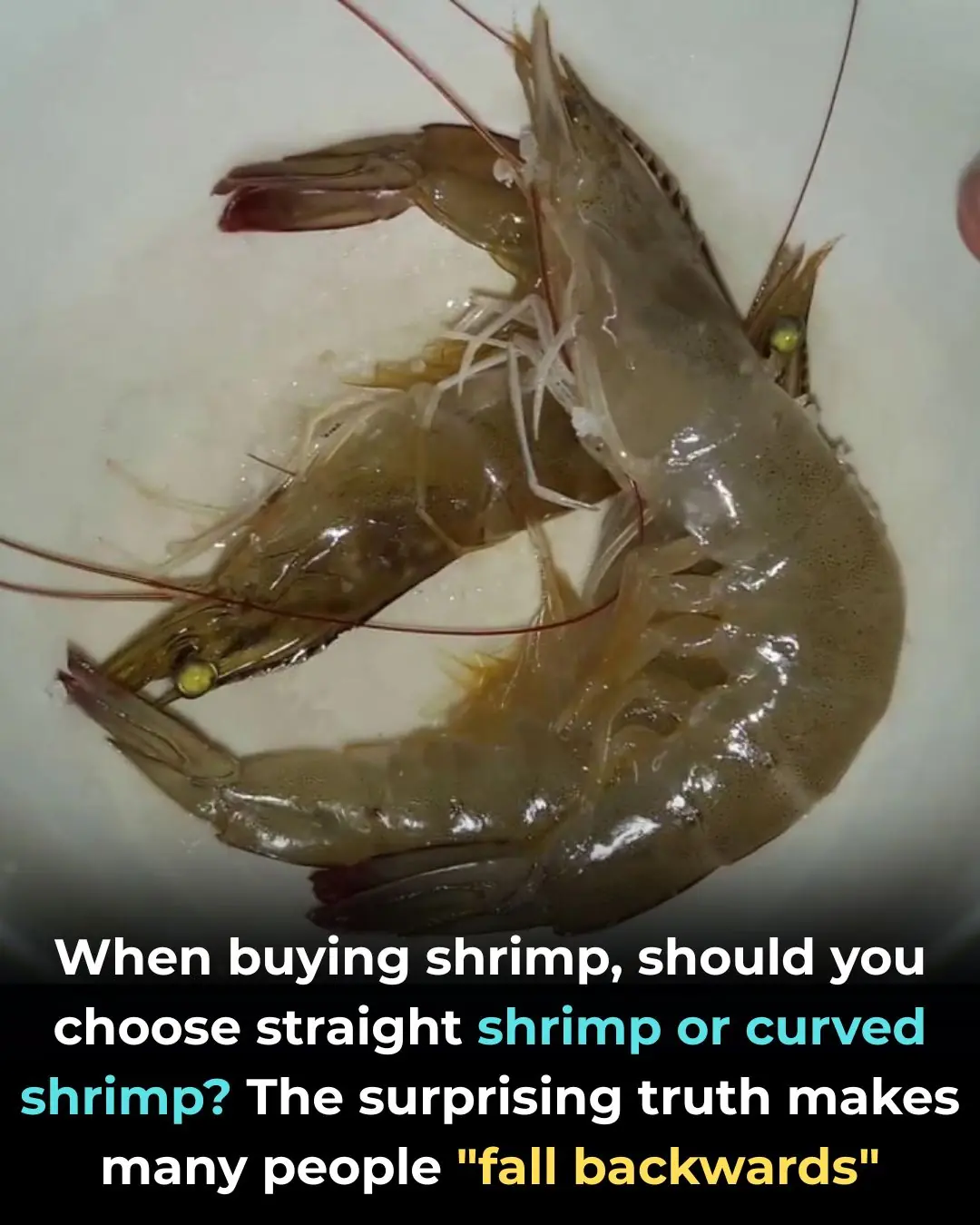 When buying shrimp, should you choose straight shrimp or curved shrimp? The surprising truth makes many people "fall backwards"