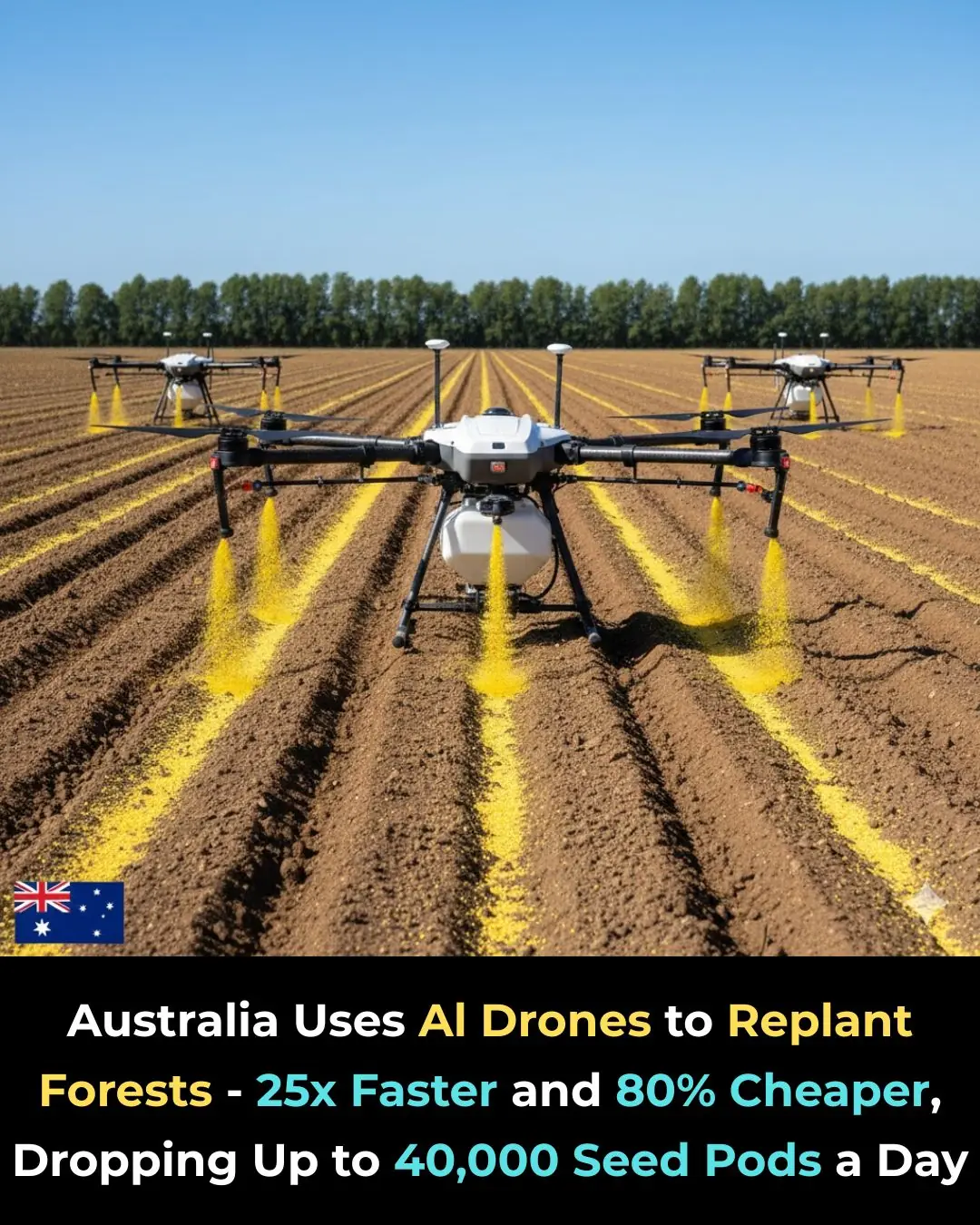 AI Drones Are Rebuilding Australia’s Forests, One Seed Pod at a Time