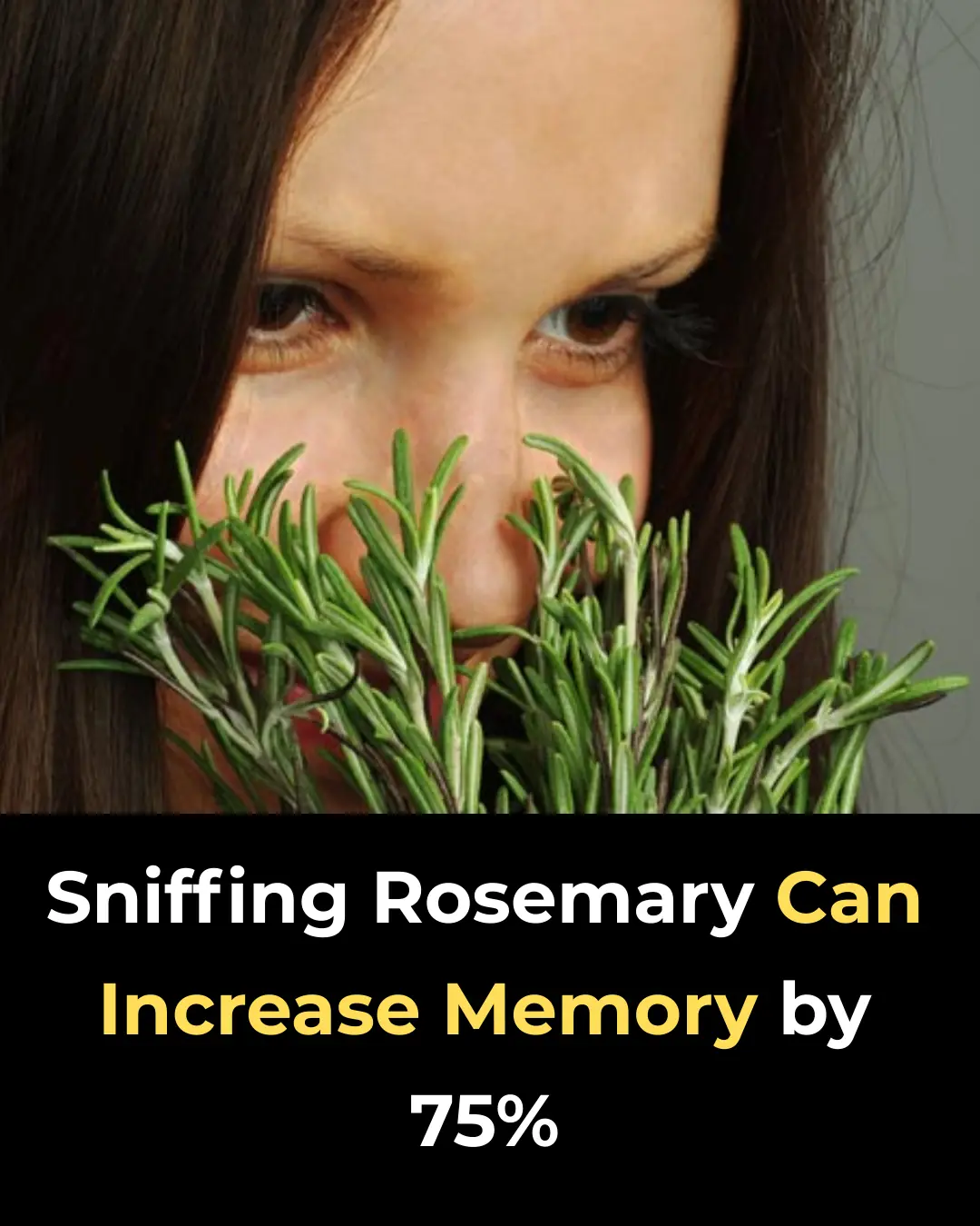 Sniffing Rosemary Can Increase Memory by 75%