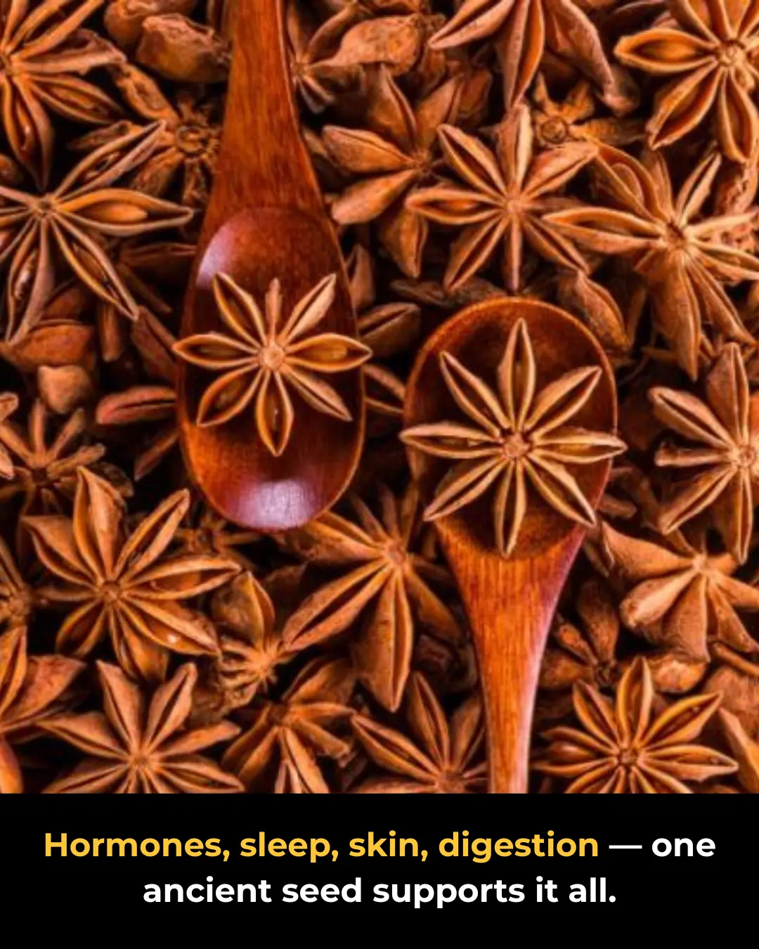 Anise Seeds: 8 Remarkable Benefits for Women – When Science Meets Ancient Tradition