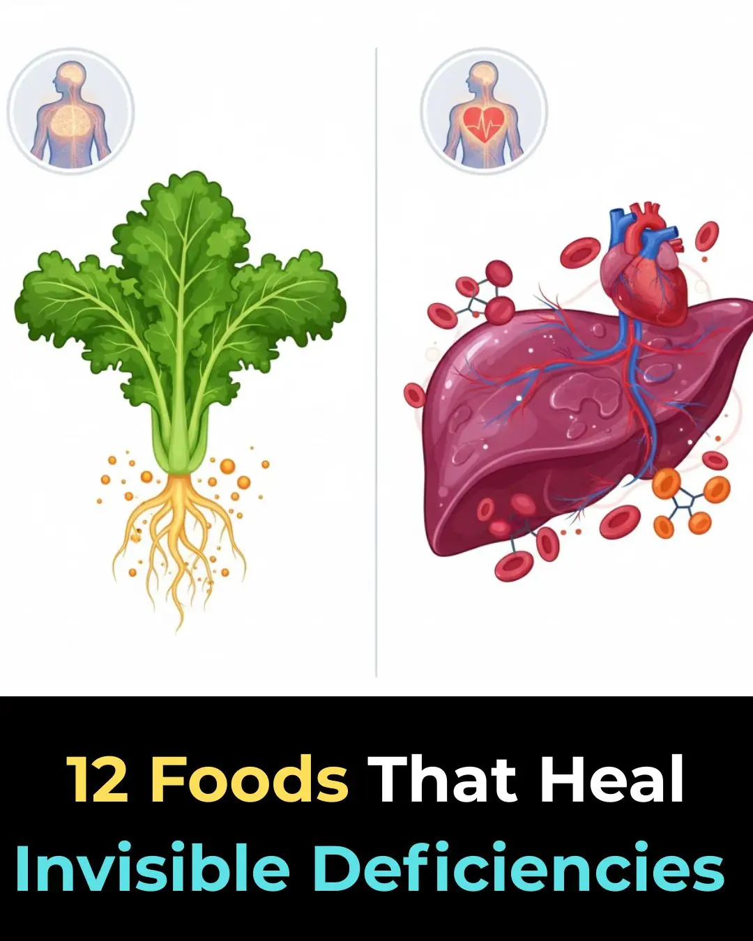 Eating to Rebalance: 12 Foods That Fix Common but Overlooked Deficiencies