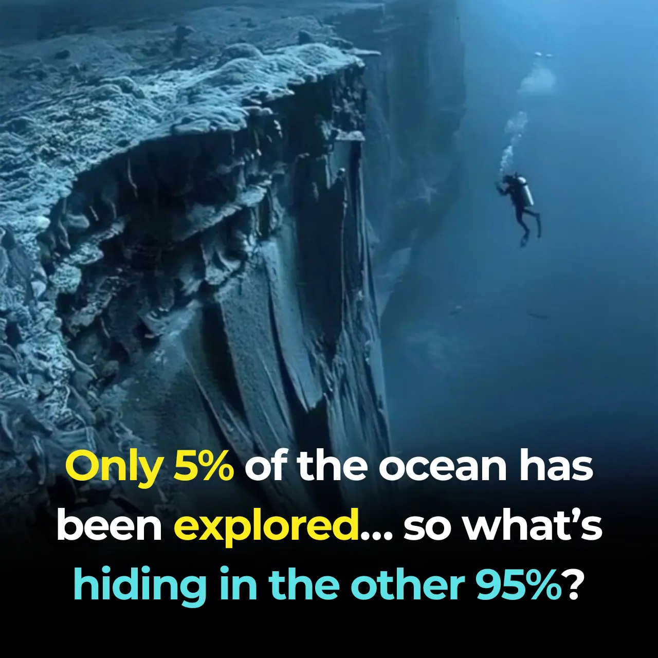 Exploring the Abyss: The Mesmerizing Depths of the Ocean Beyond 200 Meters