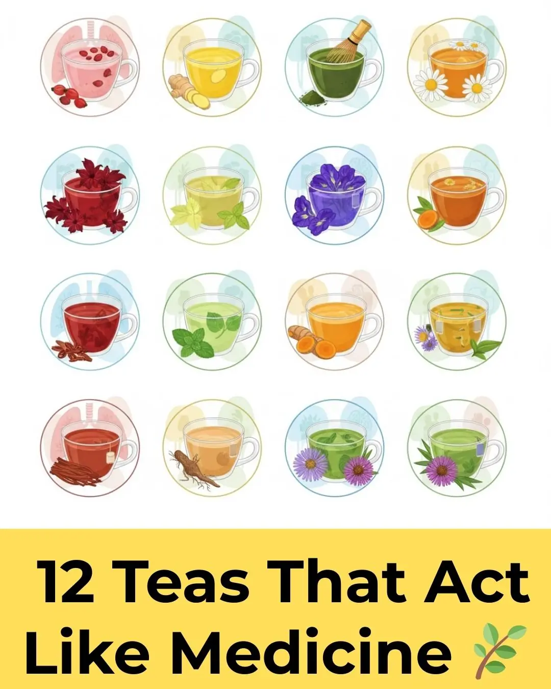 Herbal Teas That Act Like Medicine: What Science Really Says