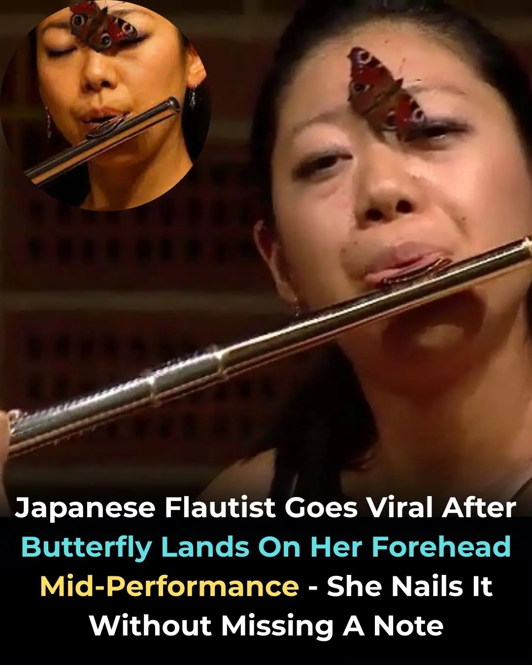 A Once-in-a-Lifetime Performance — Interrupted by Nature, Perfected by Talent