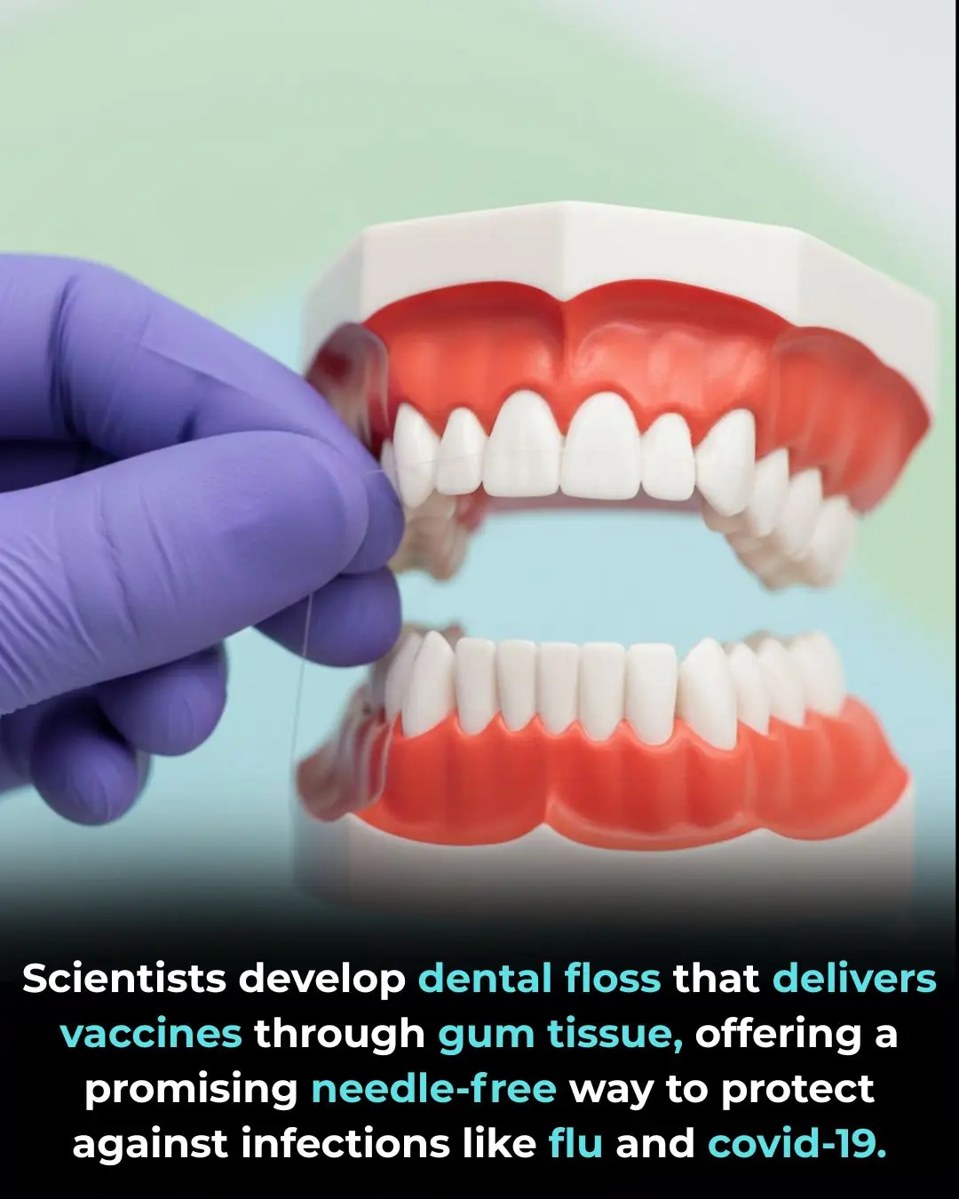 Revolutionary Dental Floss Vaccine Delivery Method Shows Promise for Painless Immunization