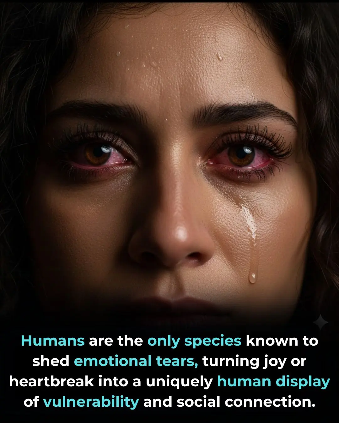 The Mystery of Emotional Tears: Why Only Humans Cry with Emotion