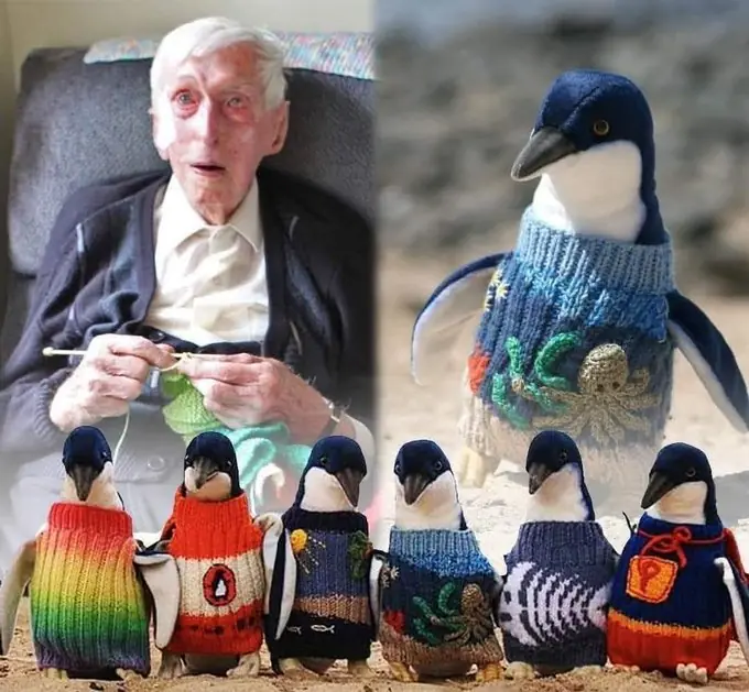 The Heartwarming Story of Alfred “Alfie” Date — Australia’s Oldest Man Who Knitted Sweaters for Injured Penguins